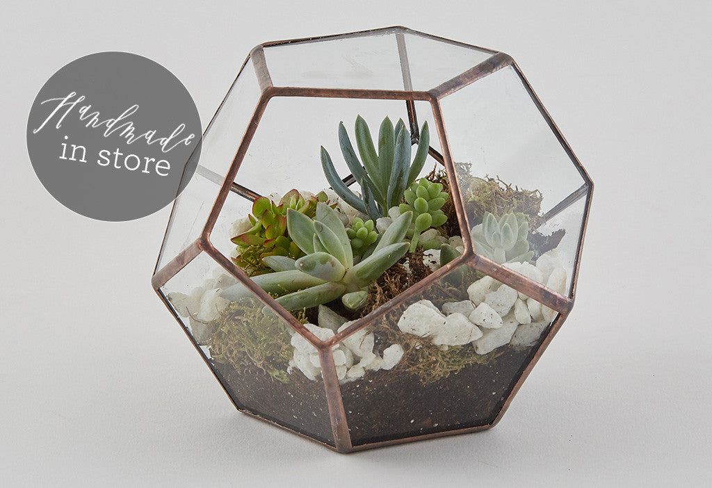 Talking terrariums - Why we love these miniature gardens...