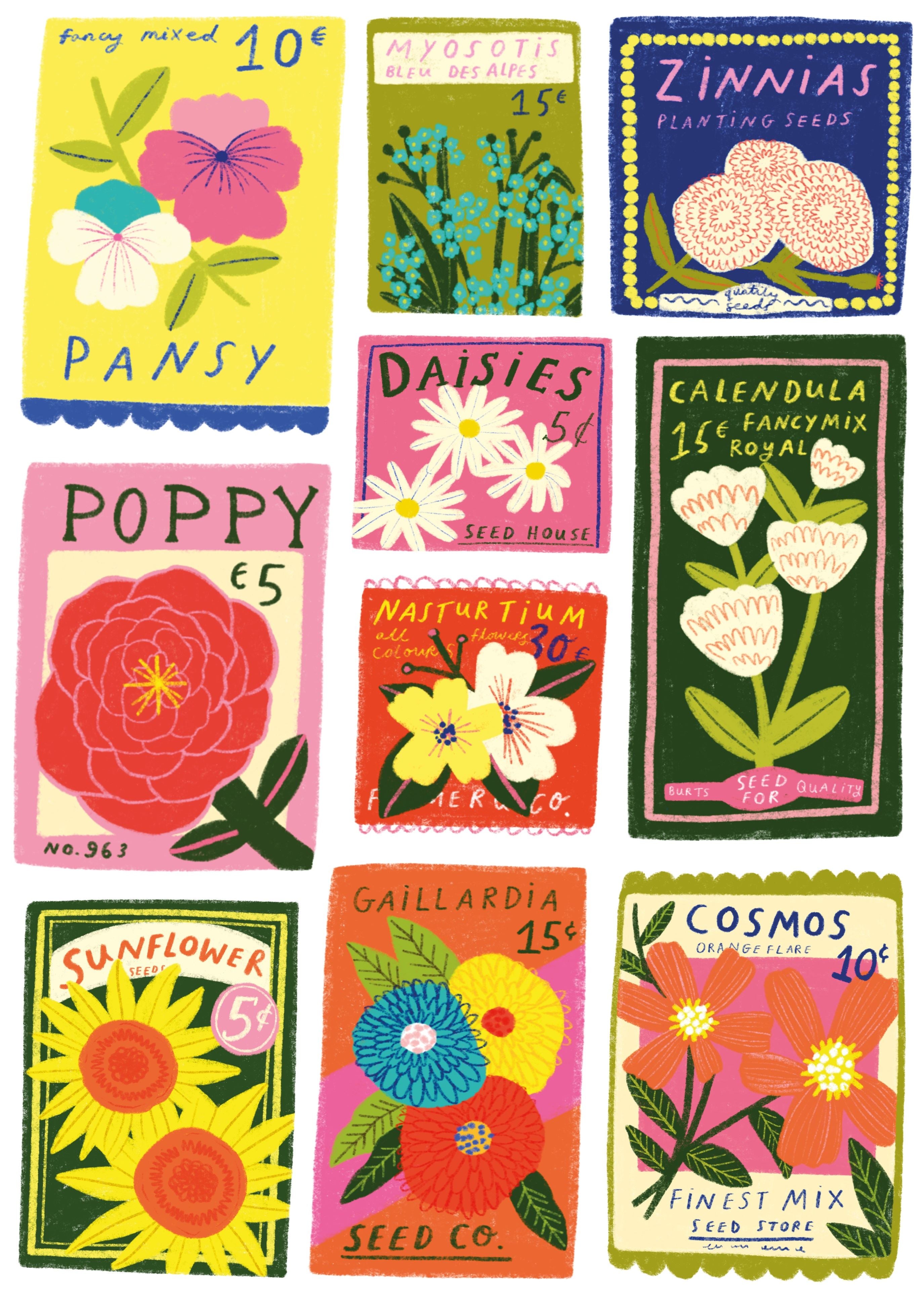 1000 Piece Jigsaw Puzzle | Seeds