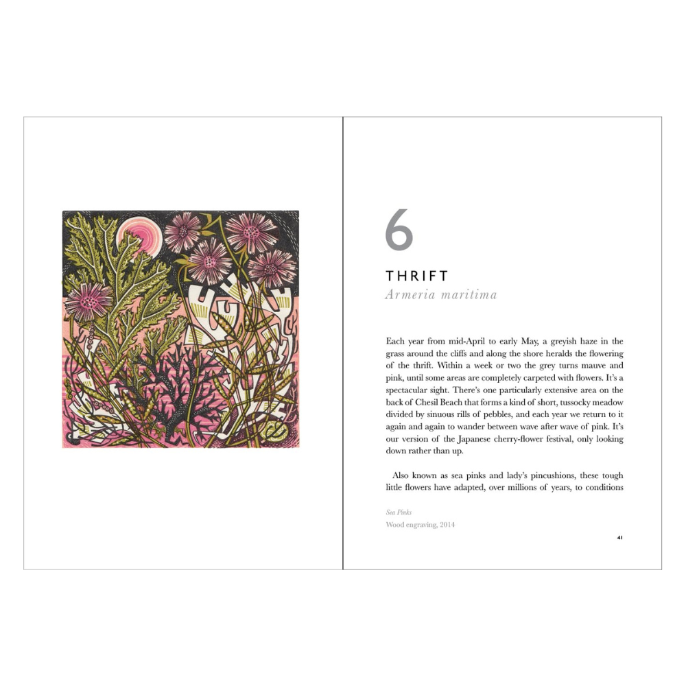 The Book of Wild Flowers: Reflections On Favourite Plants