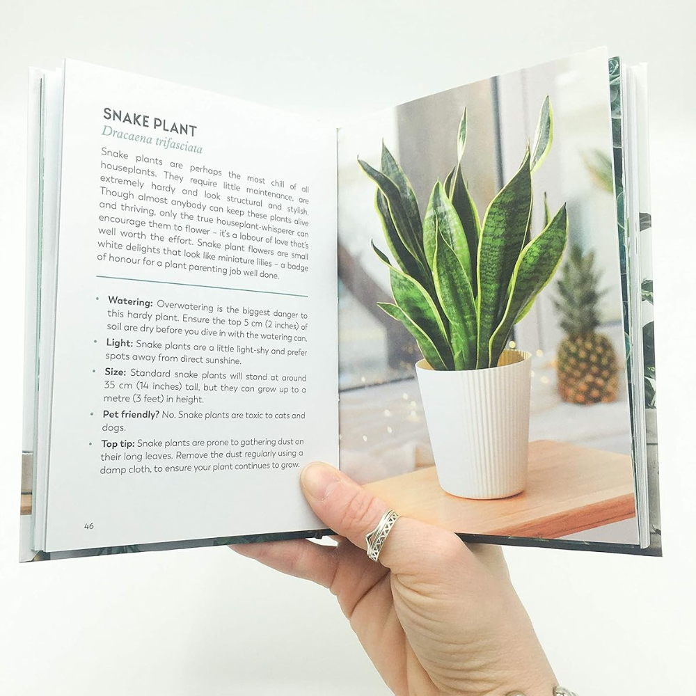 The Little Book For Plant Parents book