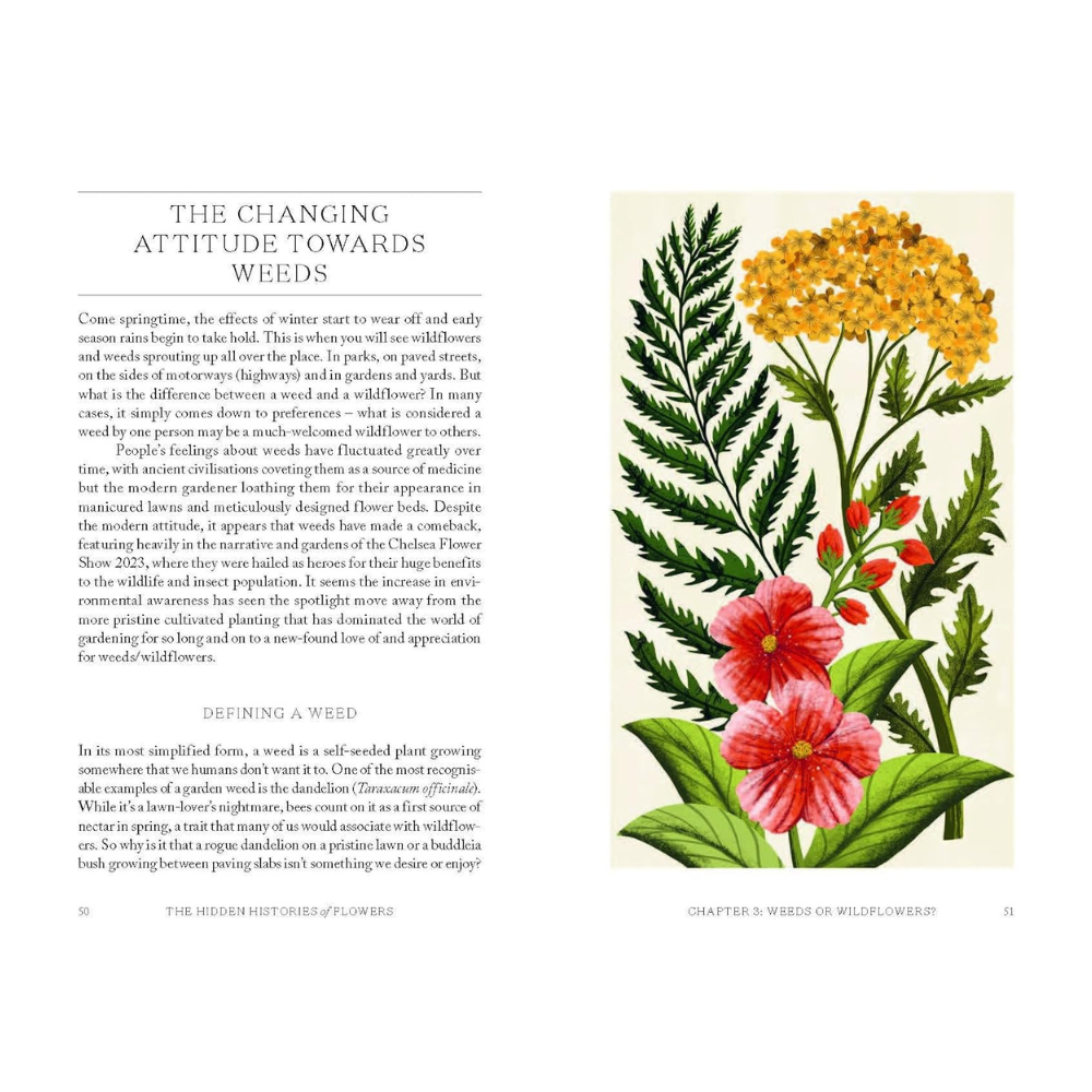 Hidden Histories of Flowers by Maddie & Alice Bailey