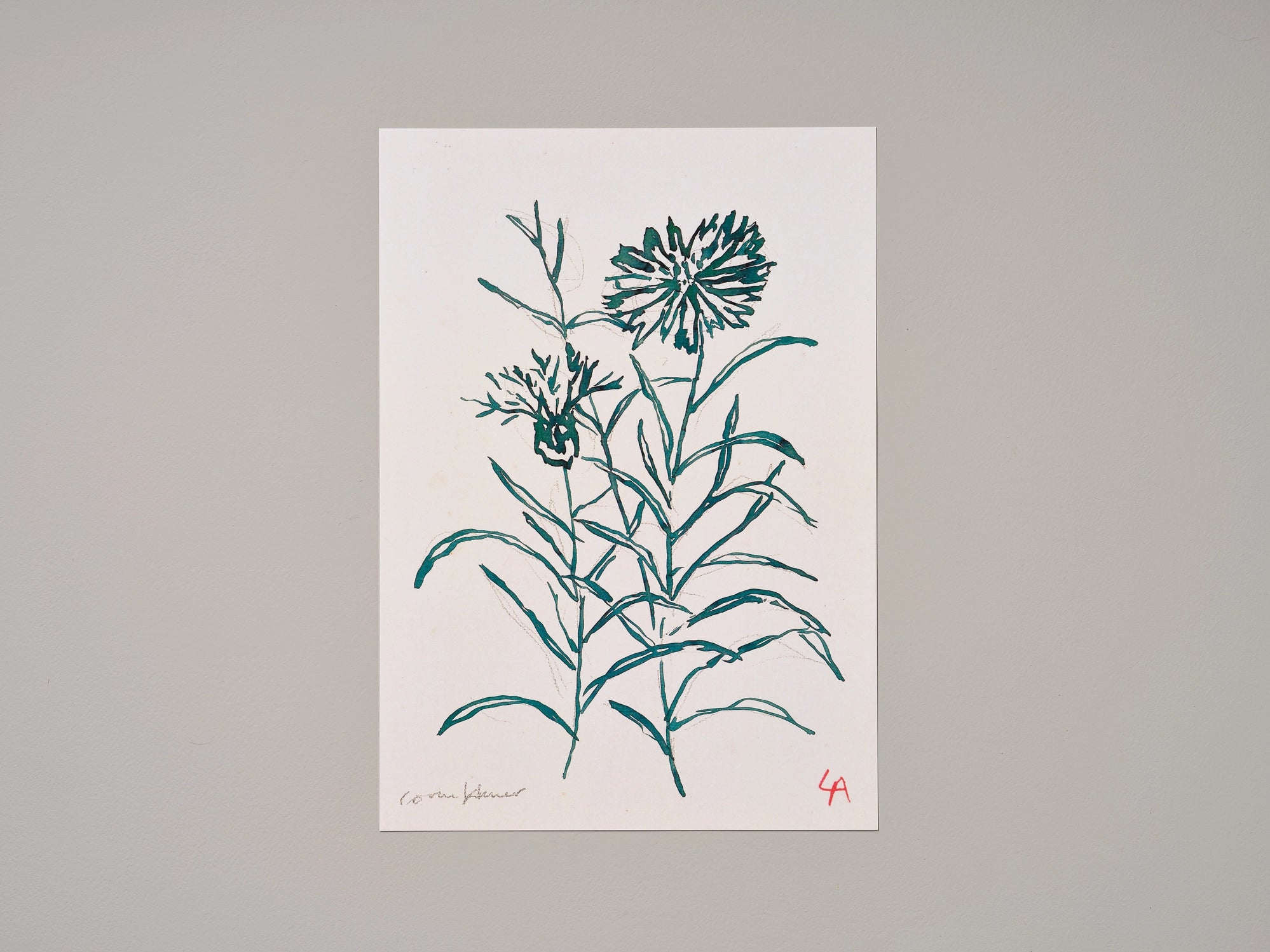 Cornflower Art Print