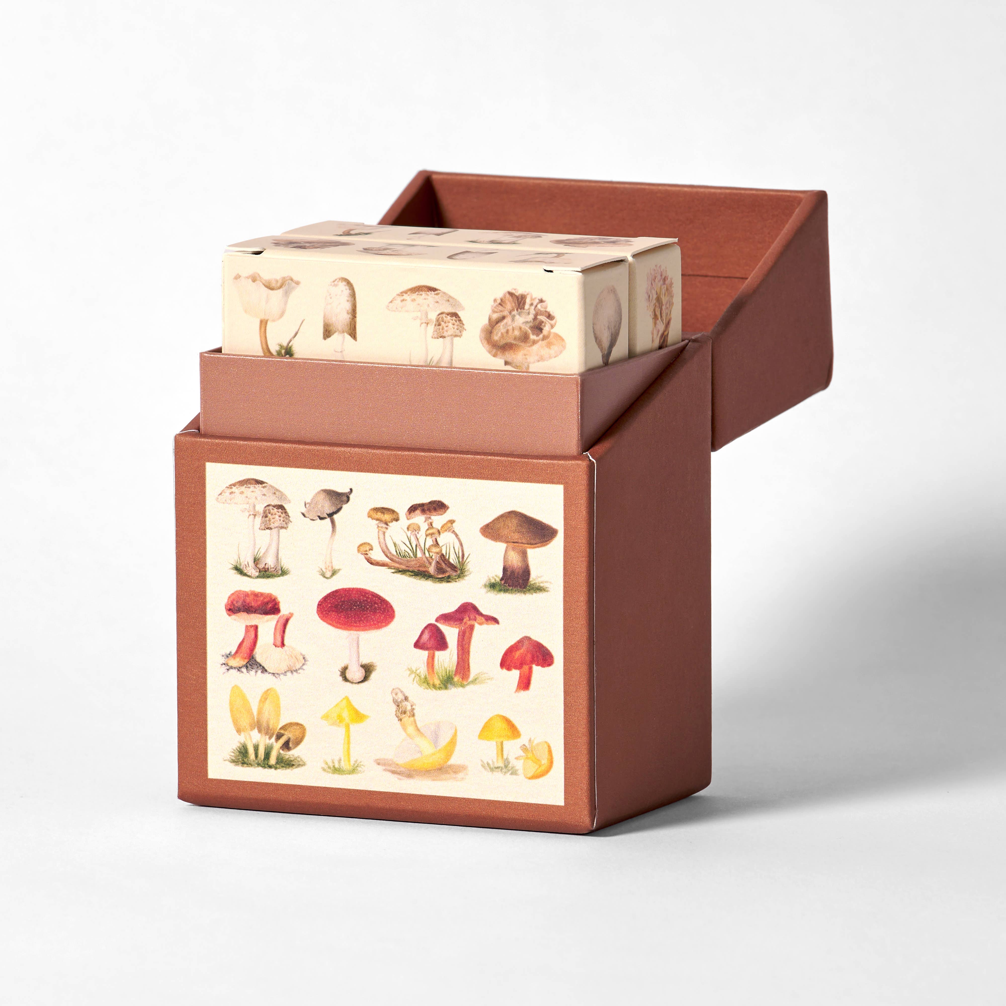 Set of Two Fungi Playing Cards Decks