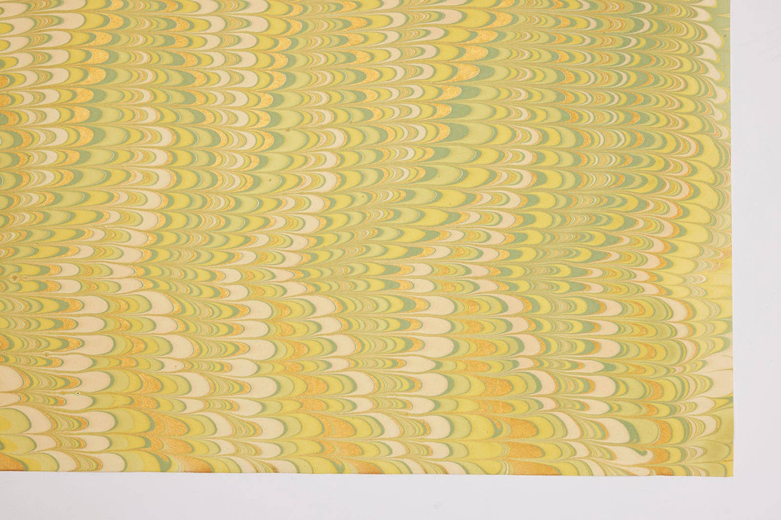 Hand Marbled Wrapping Paper Sheets - Scallops Daffodil