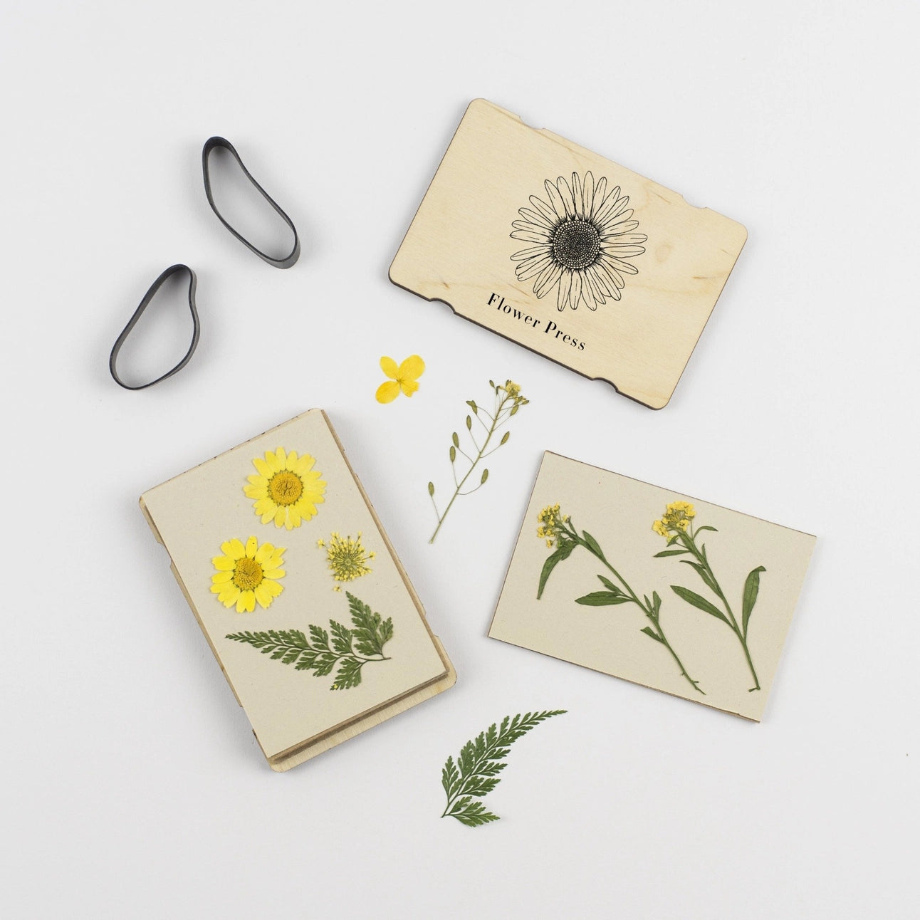 Pocket Flower Press | Line