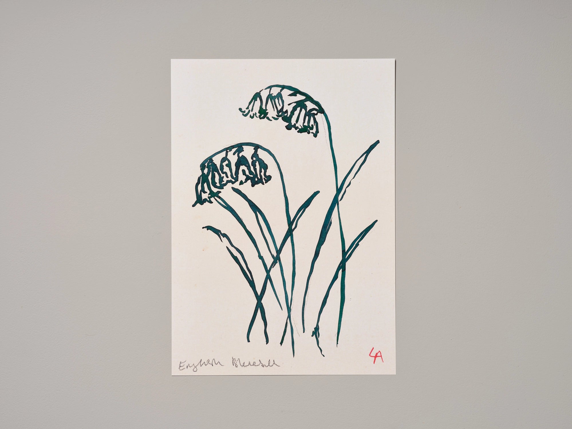 Bluebell Art Print