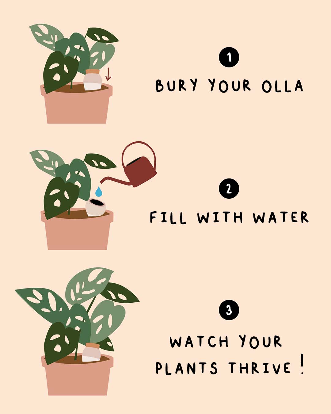 Hydrating Olla Self Watering System | 4 Colours Available