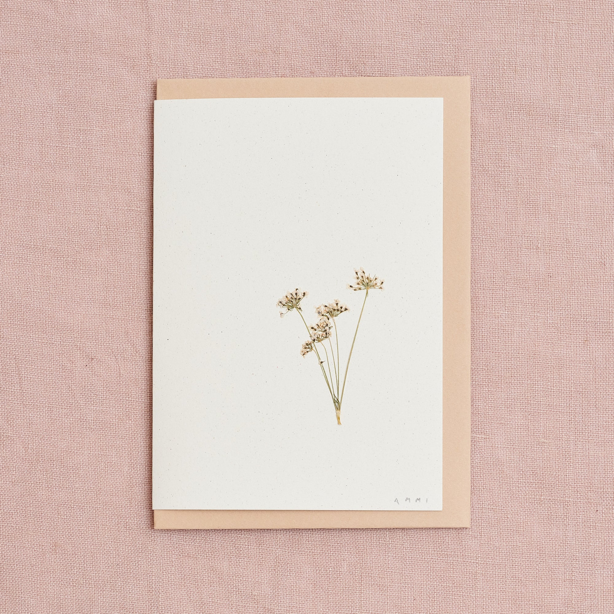 Real Pressed Flower Greetings Card : Ammi