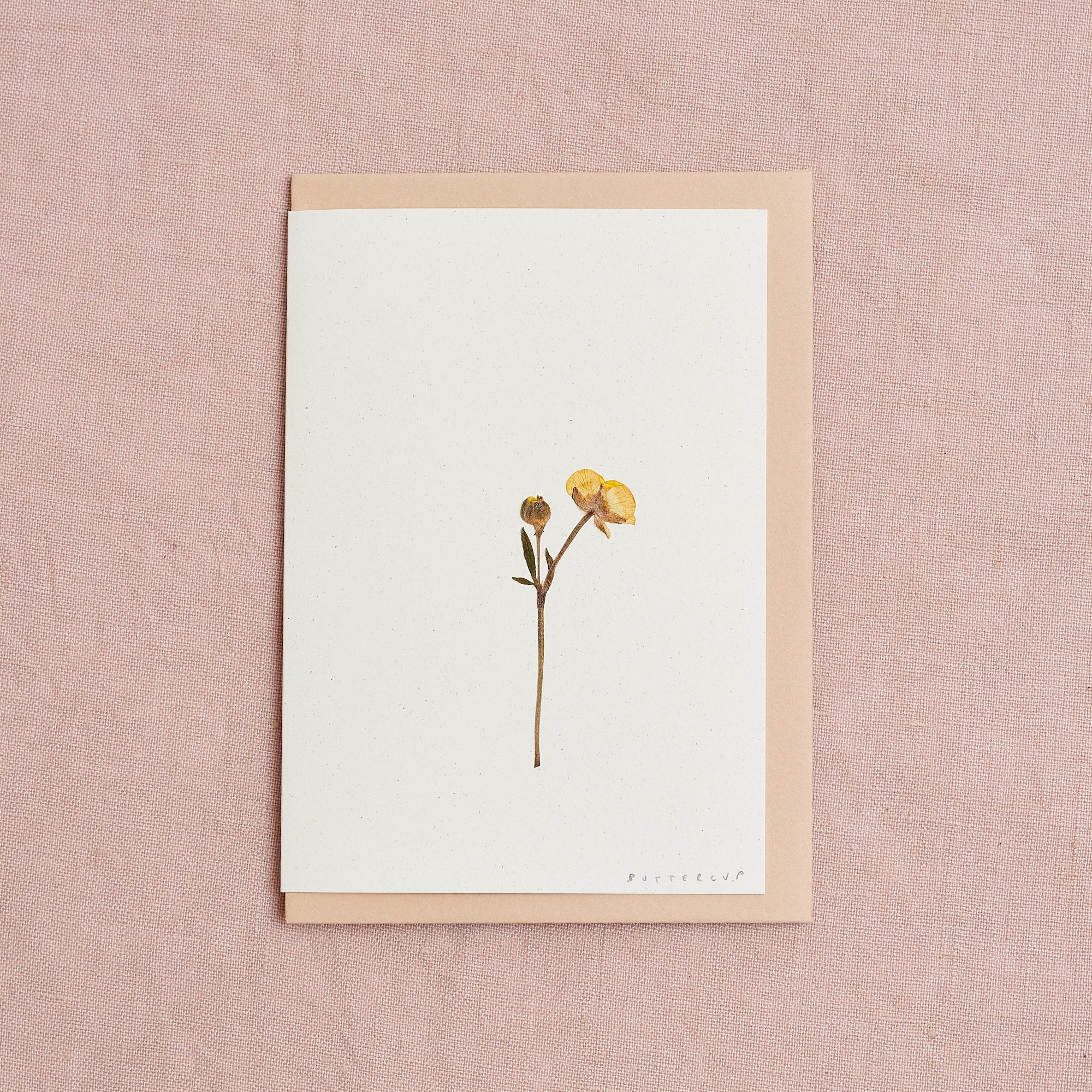 Real Pressed Flower Greetings Card : Stemmed Buttercup