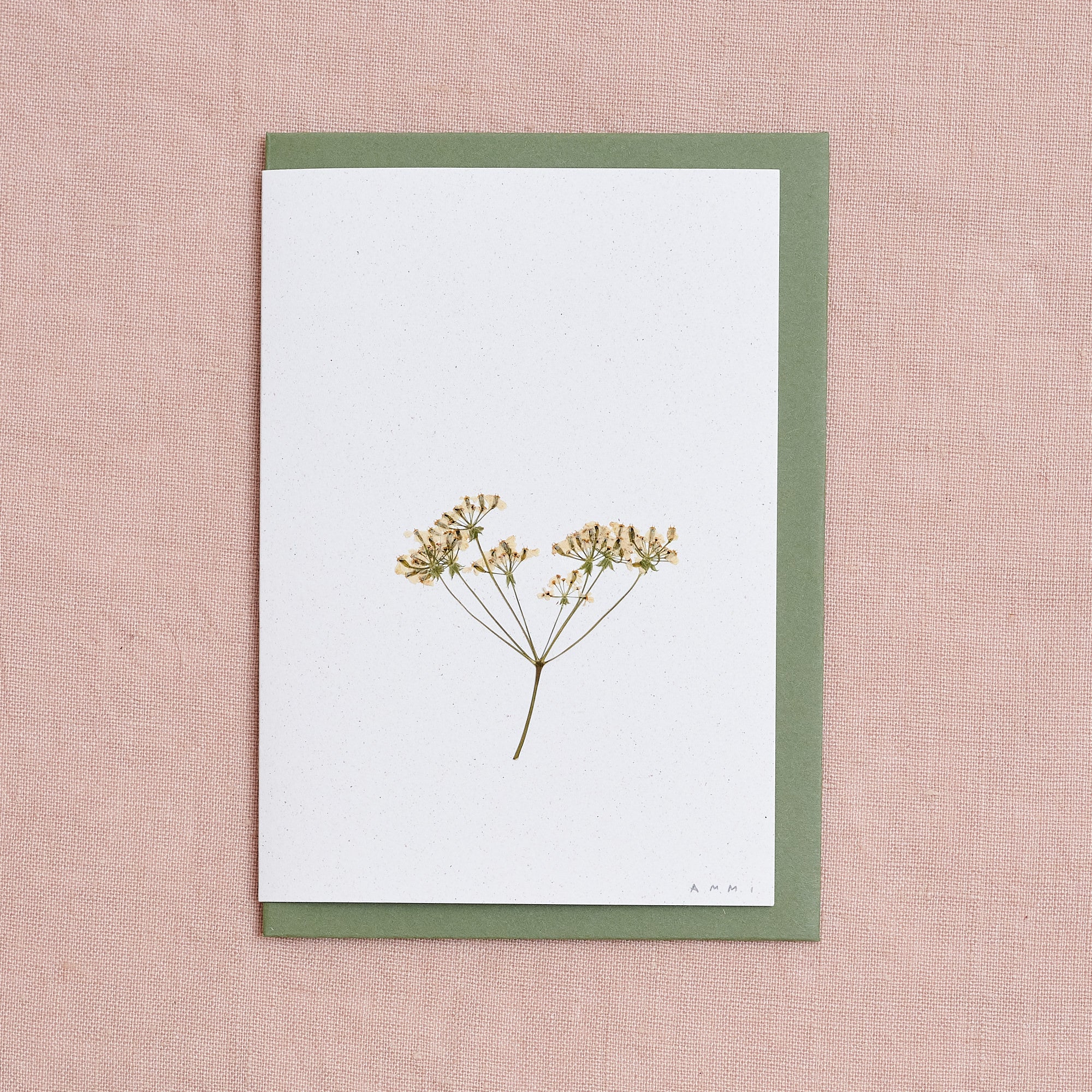 Real Pressed Flower Greetings Card : Cow Parsely