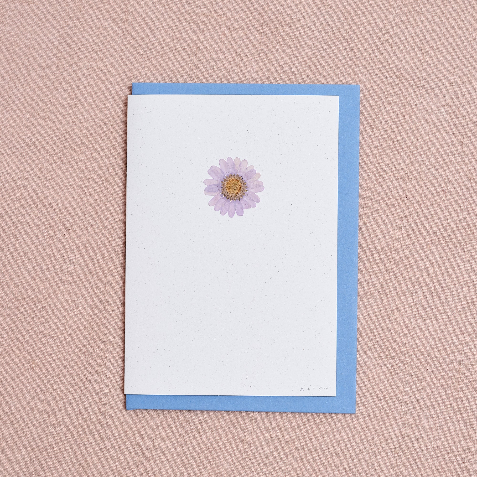 Real Pressed Flower Greetings Card : Lilac Daisy