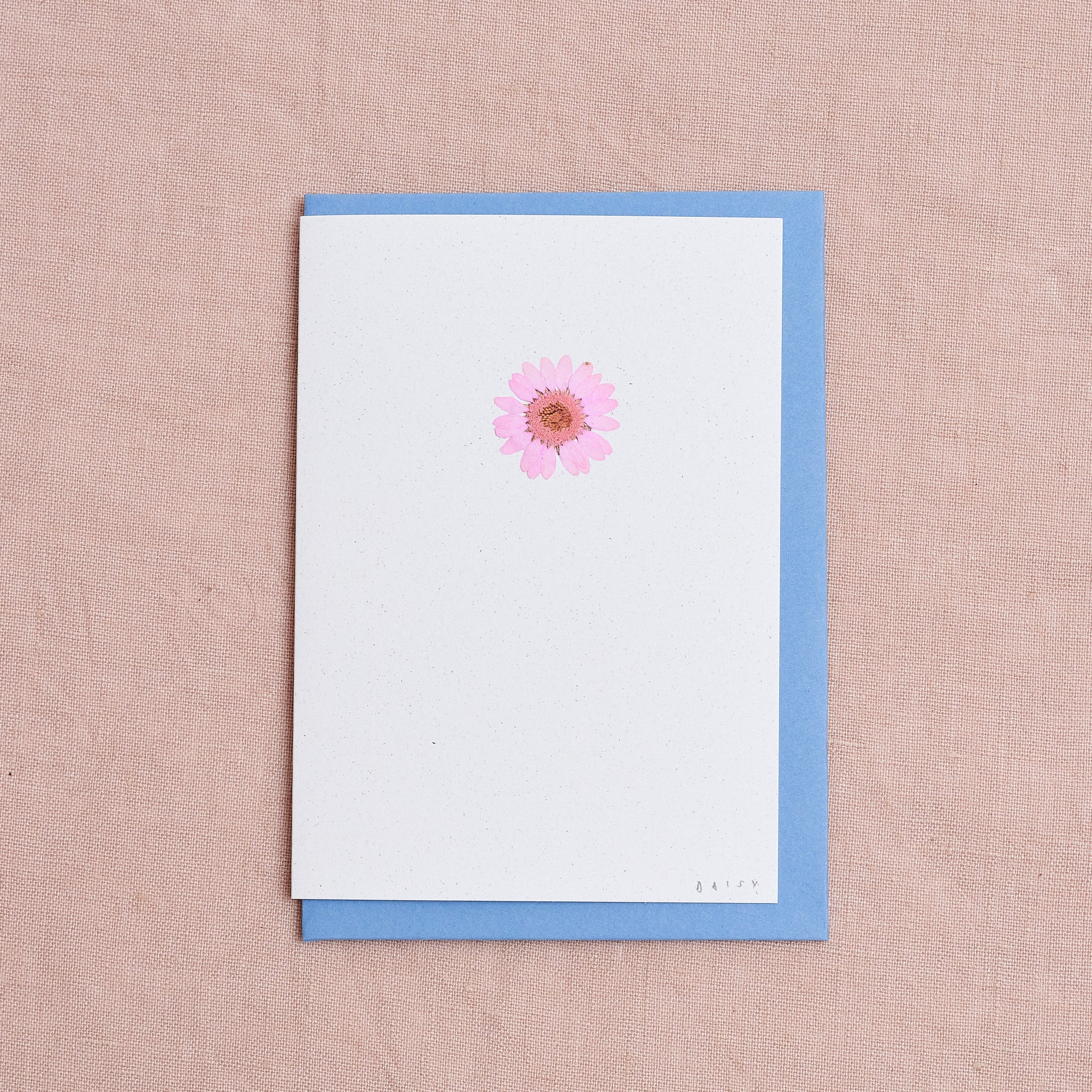 Real Pressed Flower Greetings Card : Pink Daisy