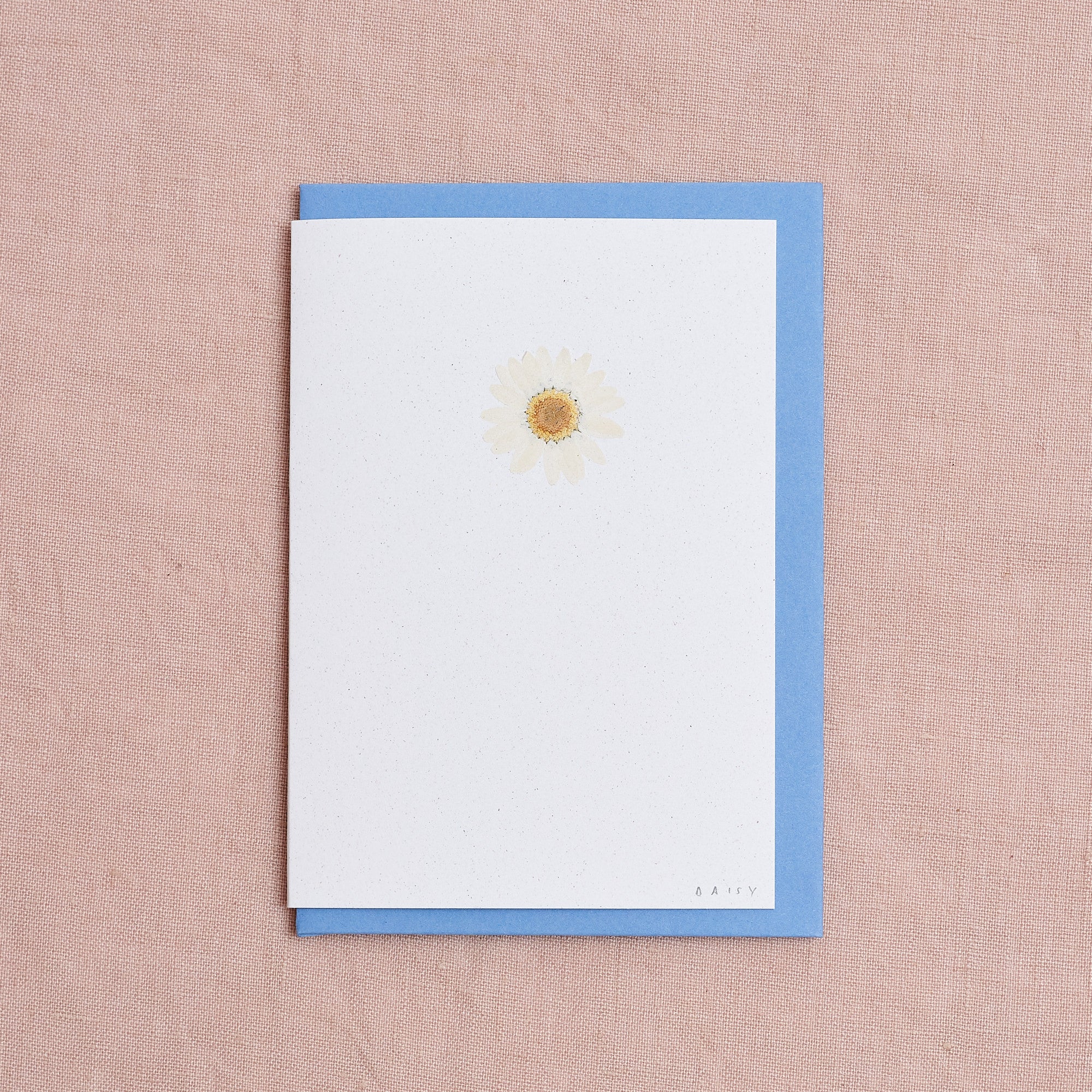 Real Pressed Flower Greetings Card : White Daisy