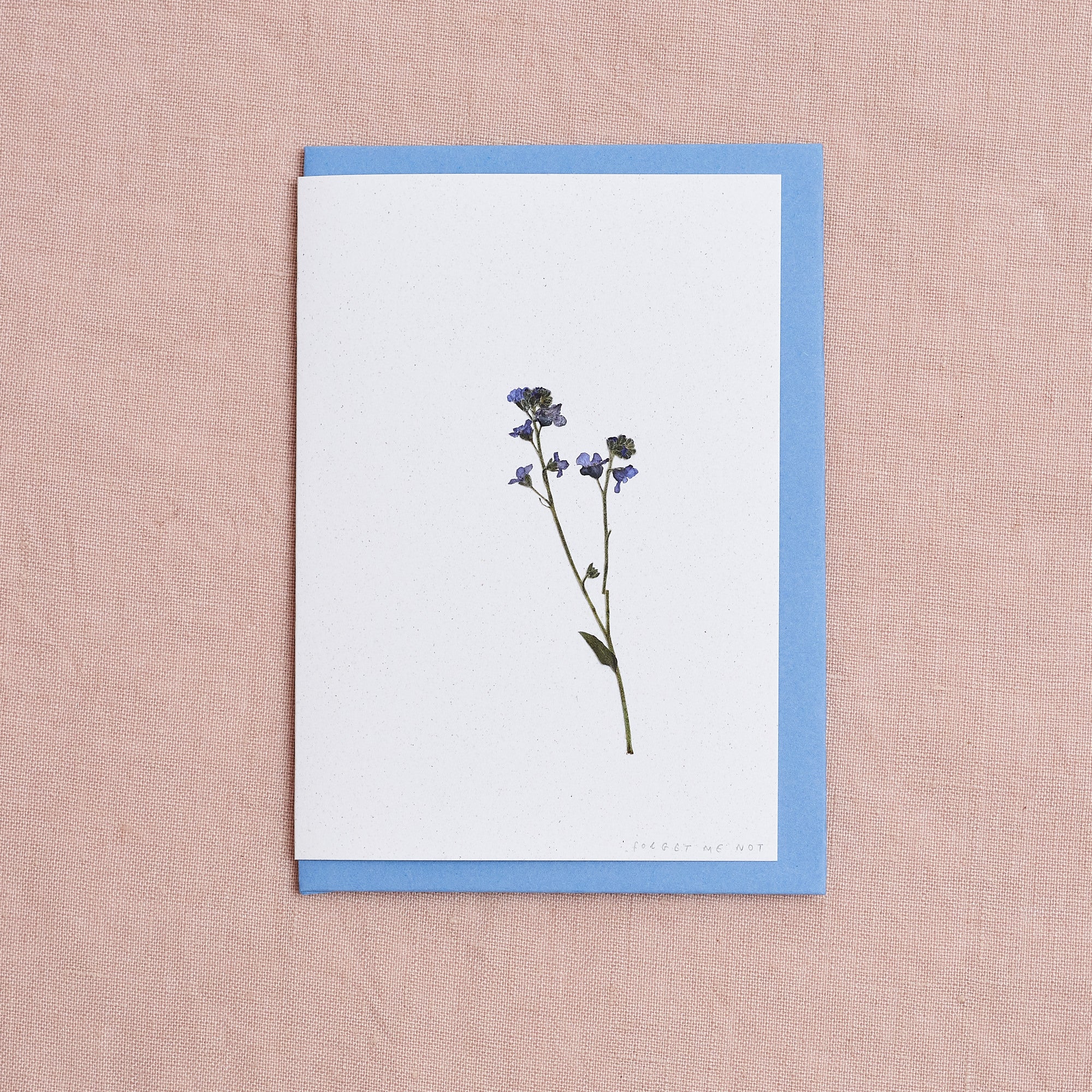 Real Pressed Flower Greetings Card : Forget me not