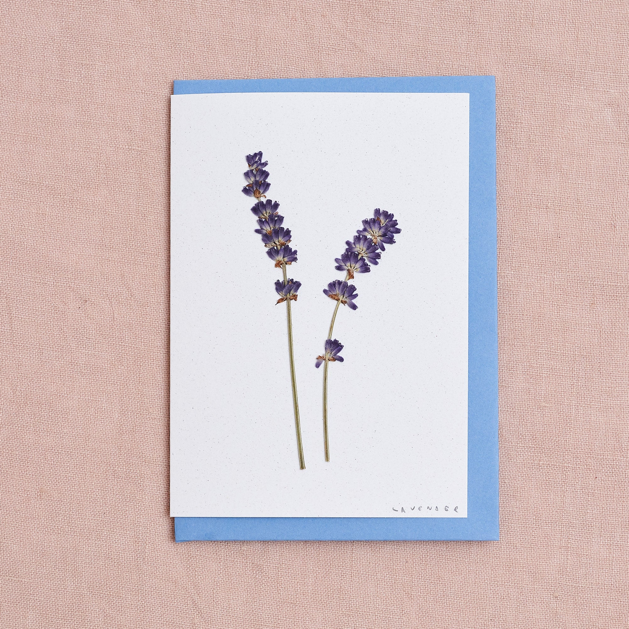 Real Pressed Flower Greetings Card : Lavender