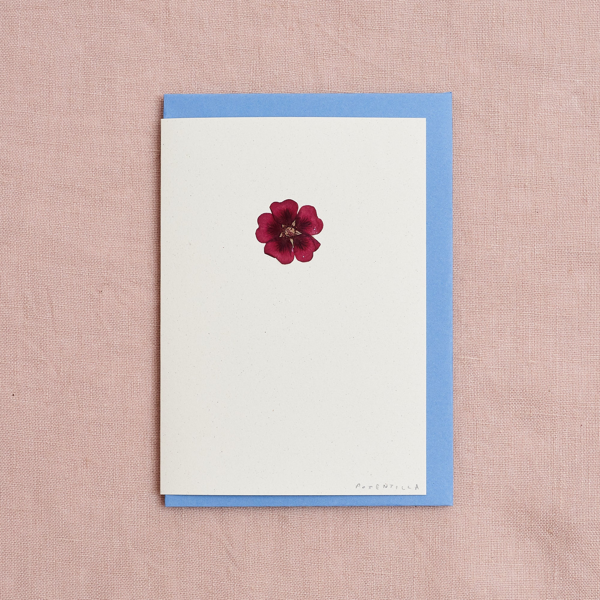 Real Pressed Flower Greetings Card : Potentilla