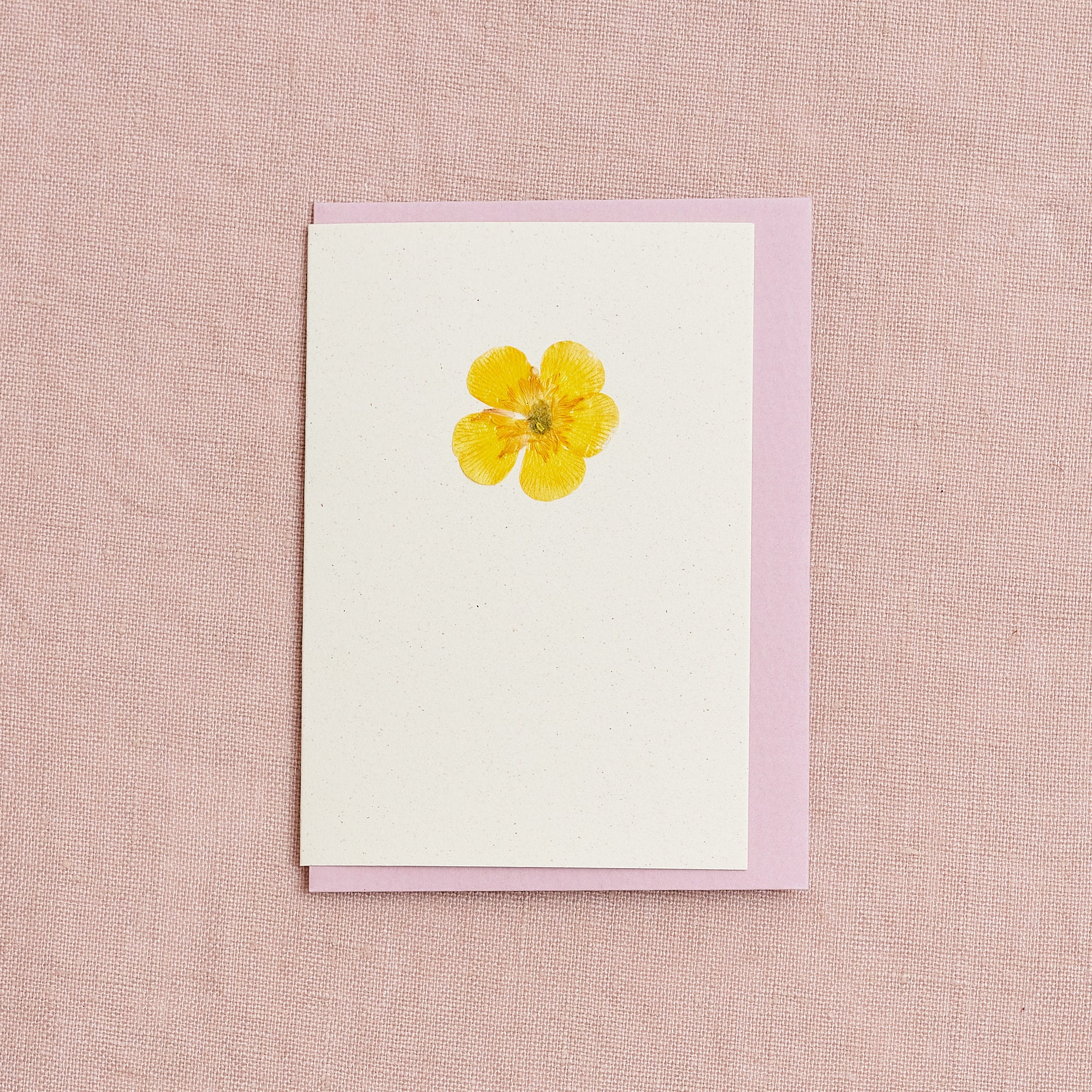 Real Pressed Flower Mini Greetings Card : Buttercup