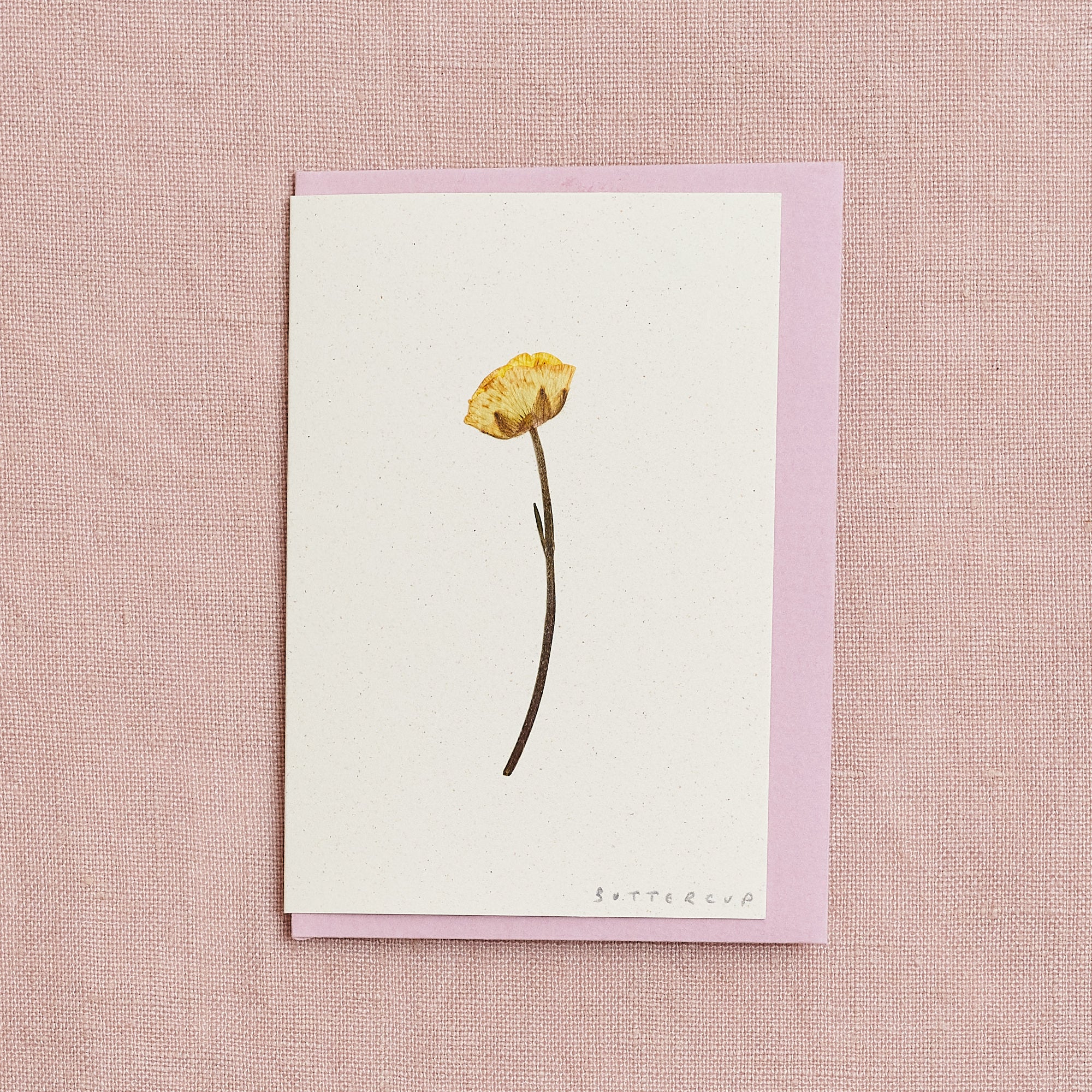 Real Pressed Flower Mini Greetings Card : Stemmed Buttercup