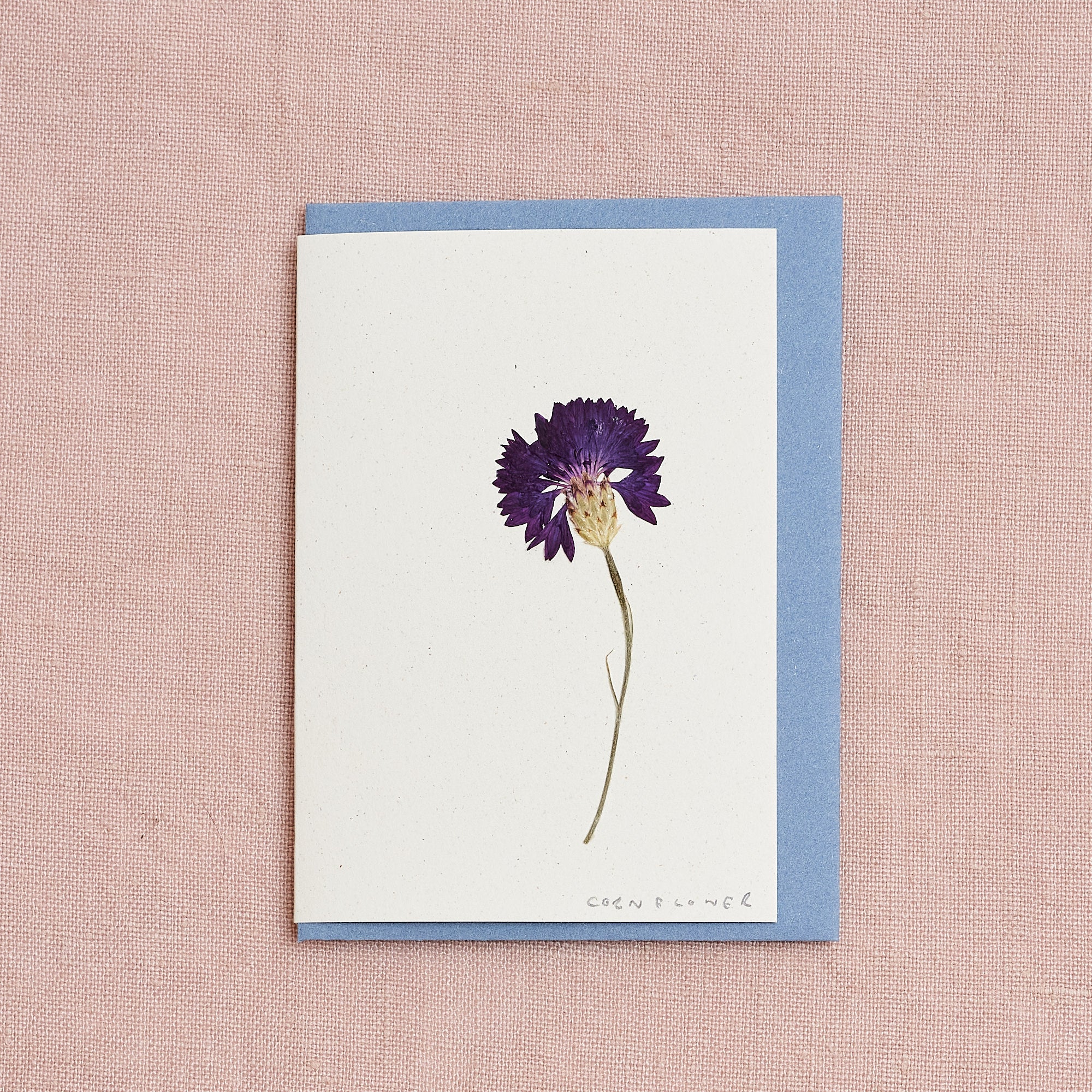 Real Pressed Flower Mini Greetings Card : Cornflower