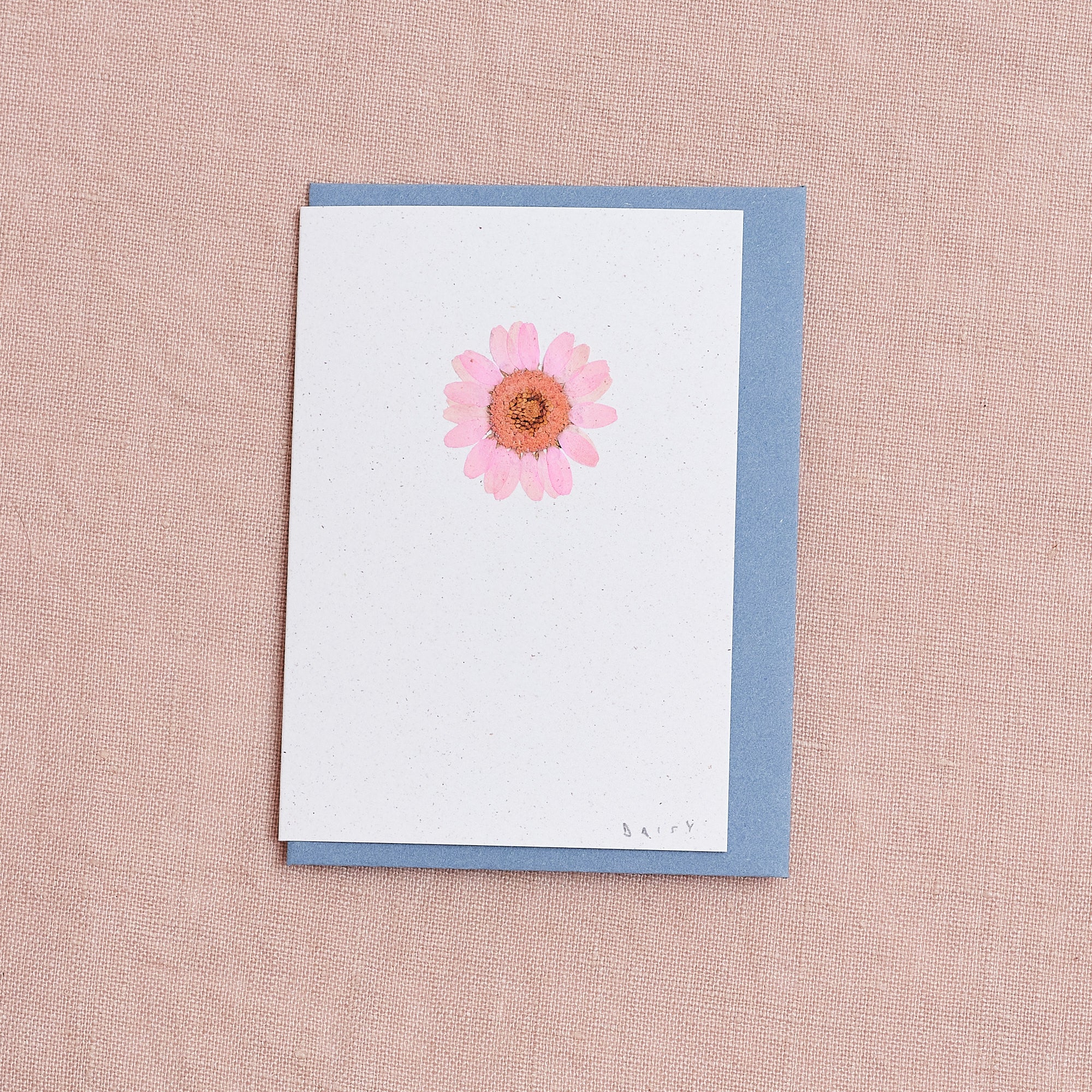 Real Pressed Flower Mini Greetings Card : Daisy