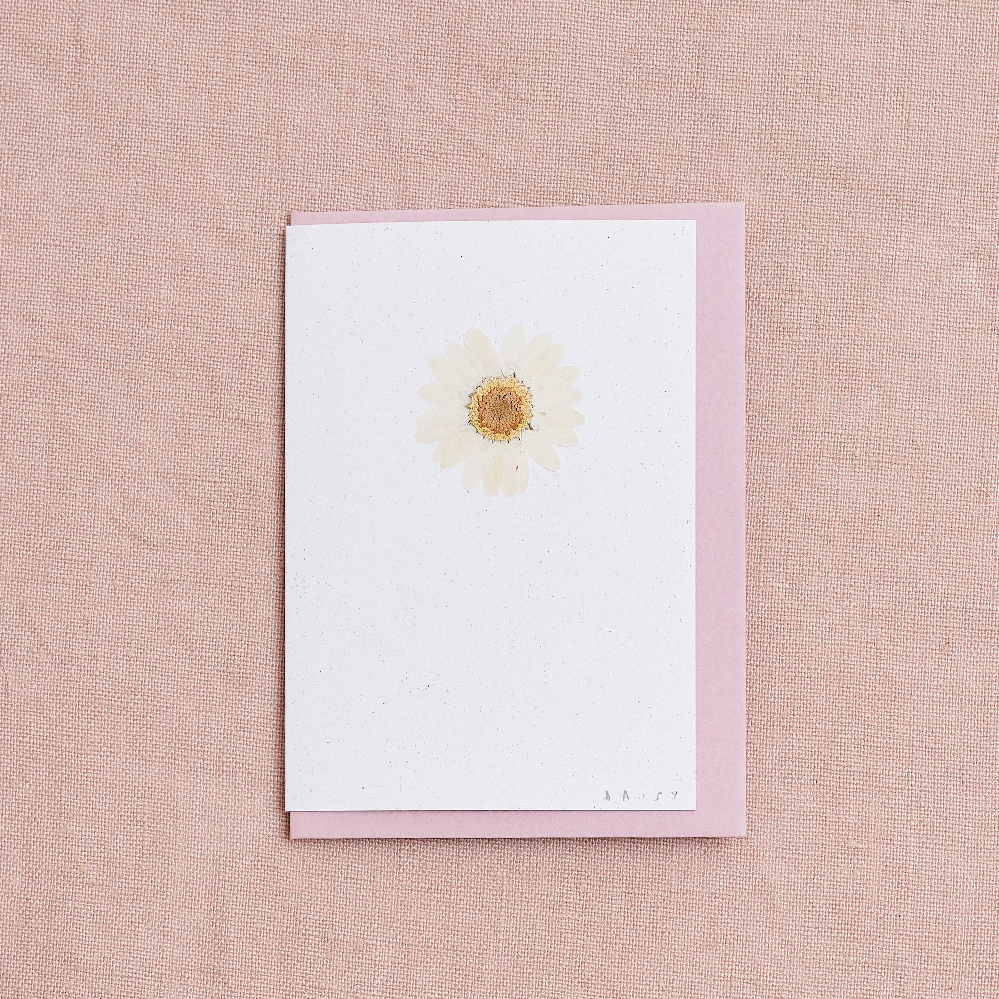 Real Pressed Flower Mini Greetings Card : Daisy White