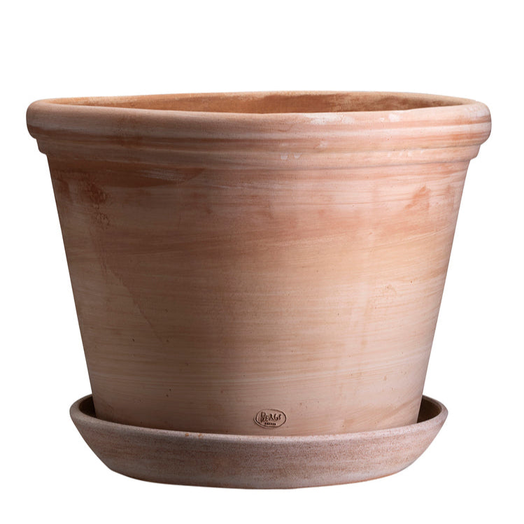 Bergs Potter Terracotta Flora Pot & Saucer Set