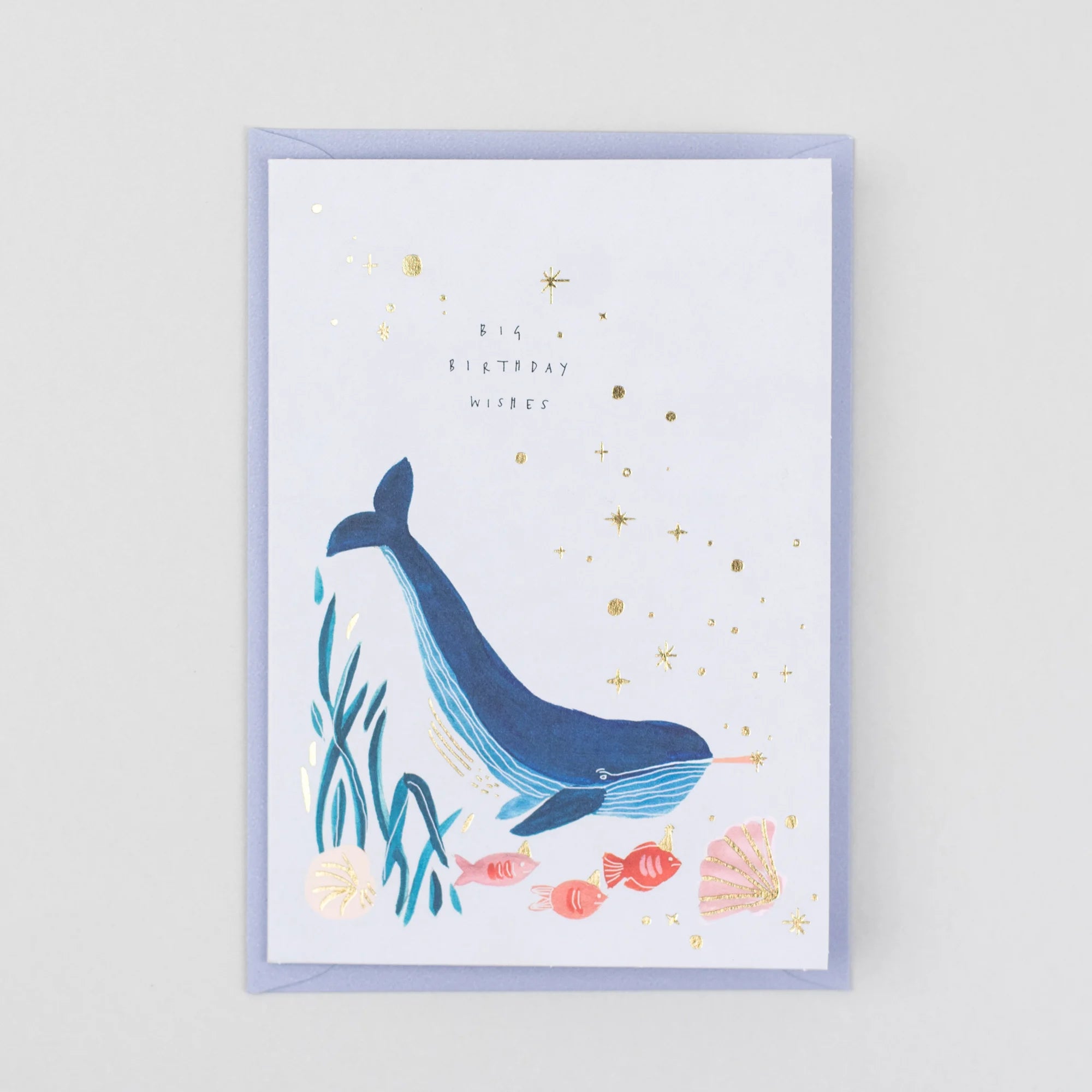 Big Birthday Wishes Greetings Card