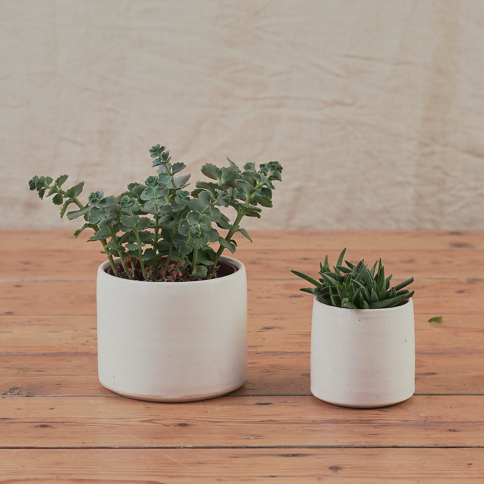 Hand Thrown Ceramic Plant Pot | Small | 3 Glazes Available