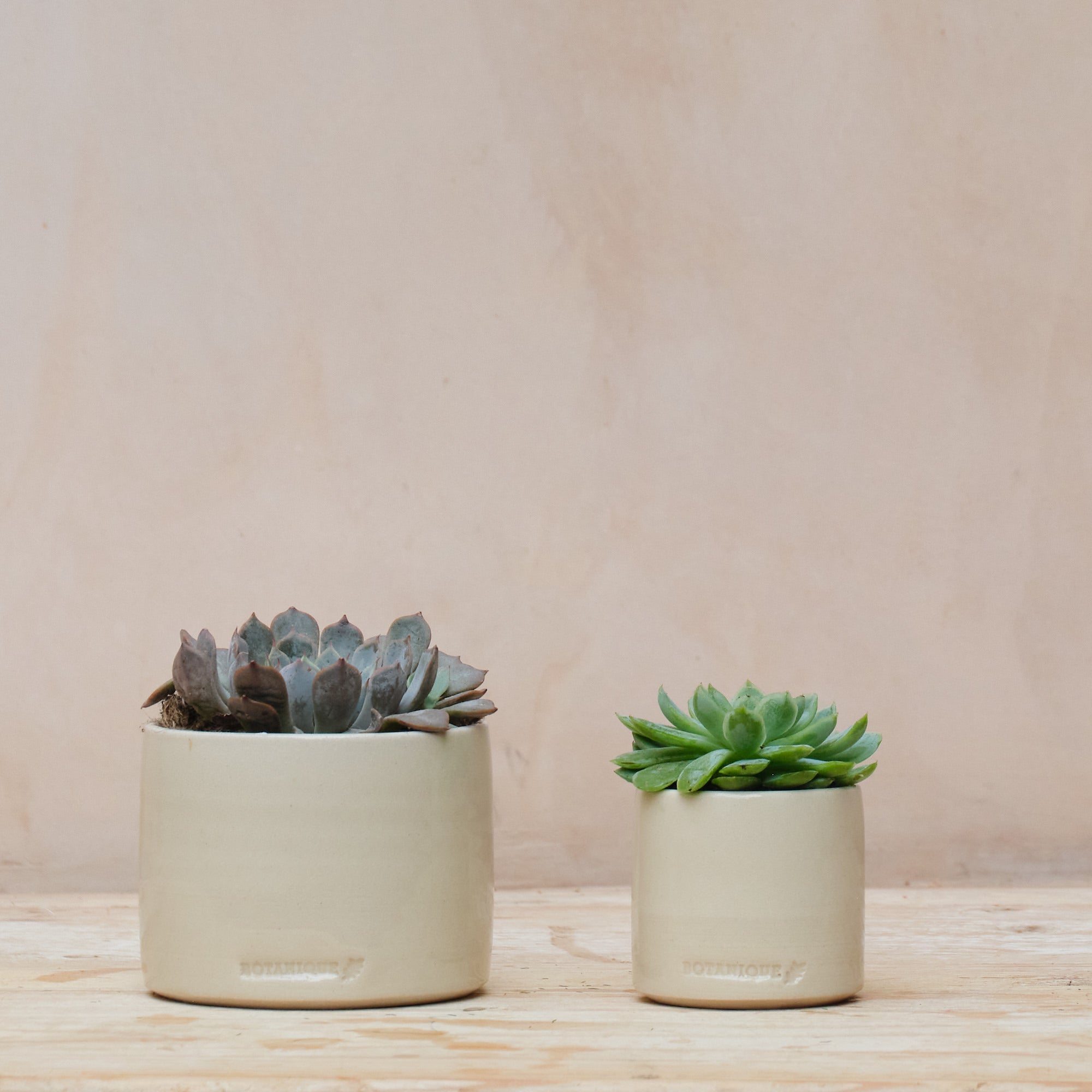 Hand Thrown Ceramic Plant Pot | Large | 3 Glazes Available