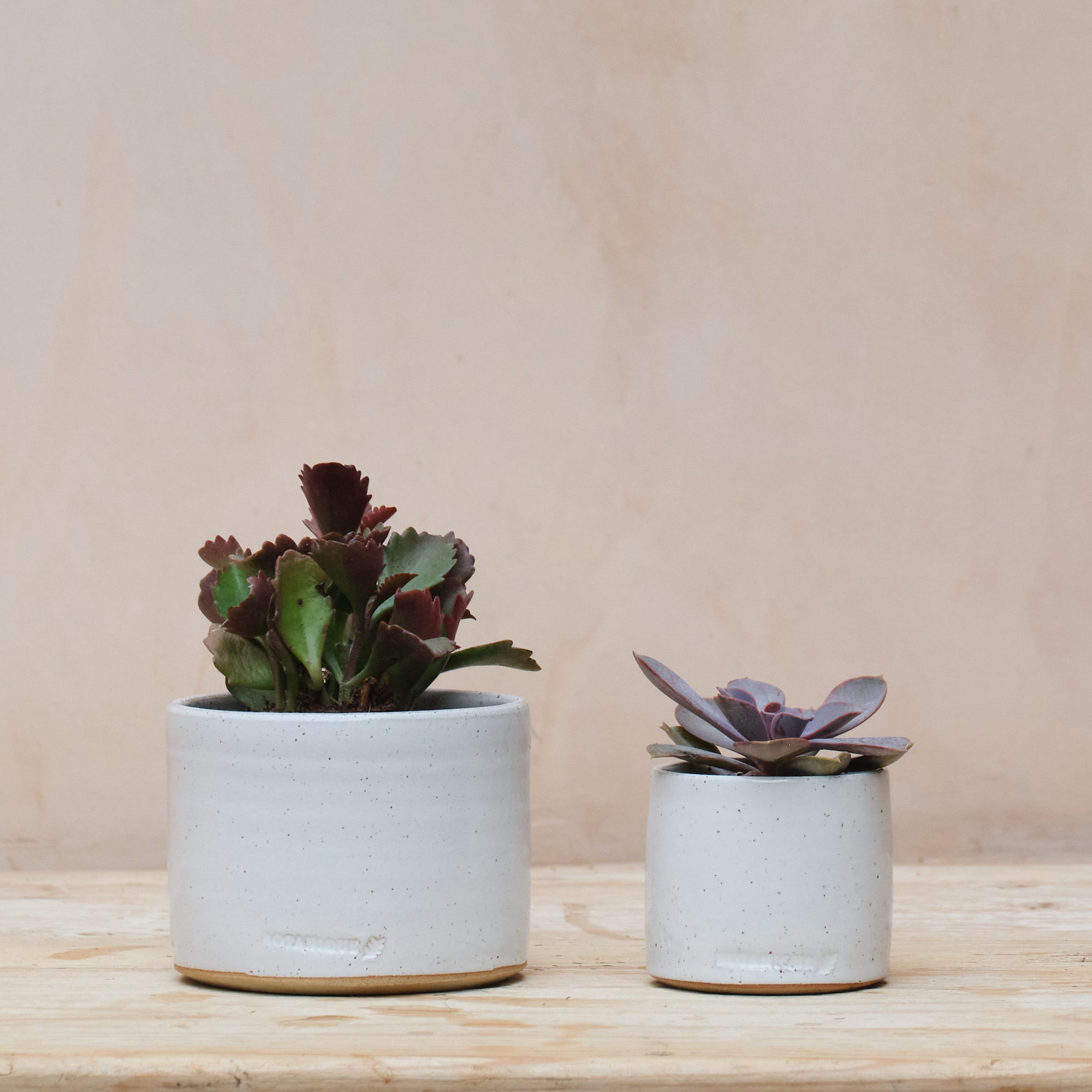 Hand Thrown Ceramic Plant Pot | Large | 3 Glazes Available