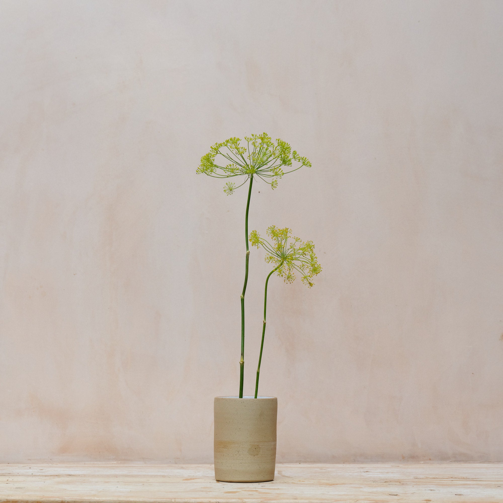 Stoneware Cylinder Vase | Toasted