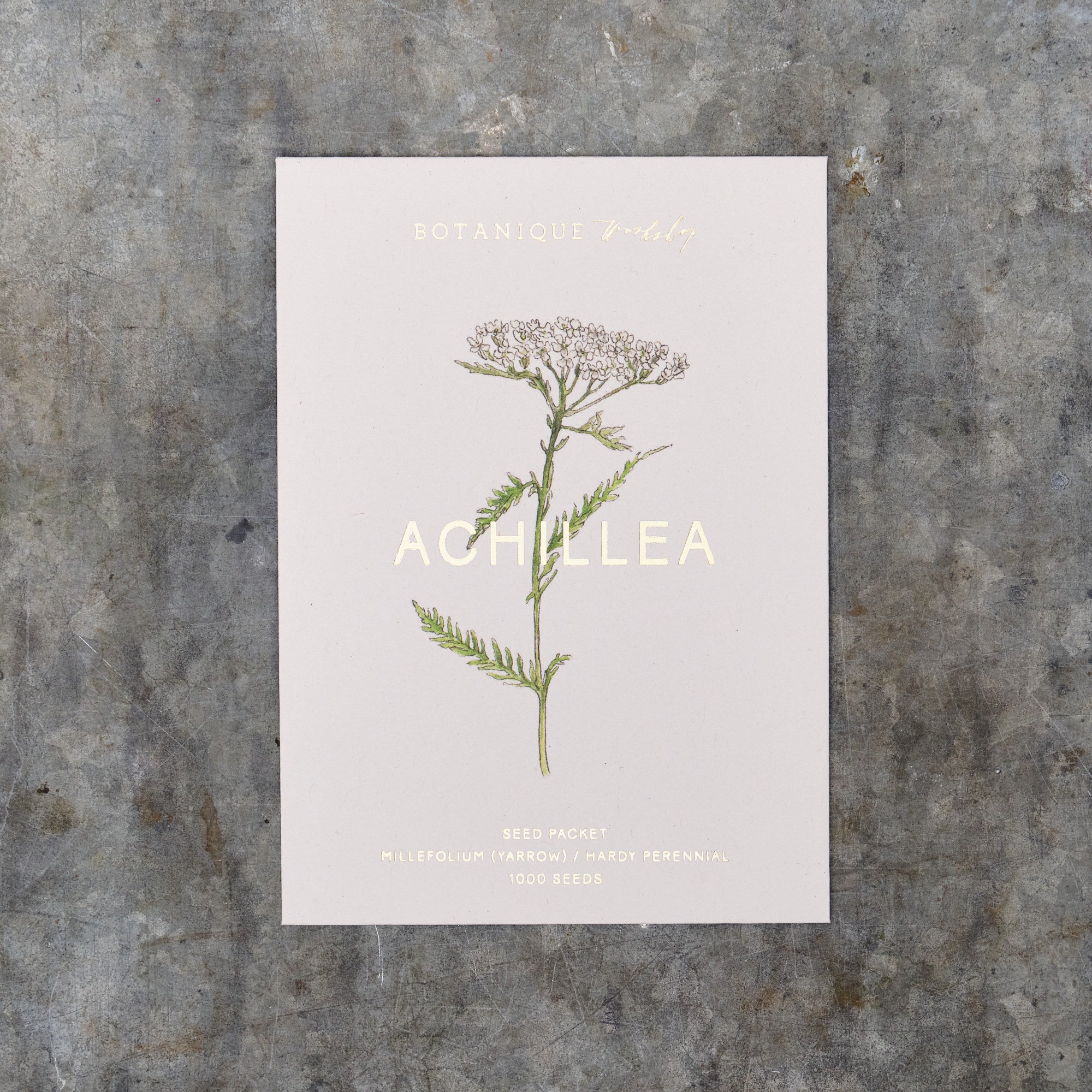 Achillea Millefolium (Yarrow) Seed Packet