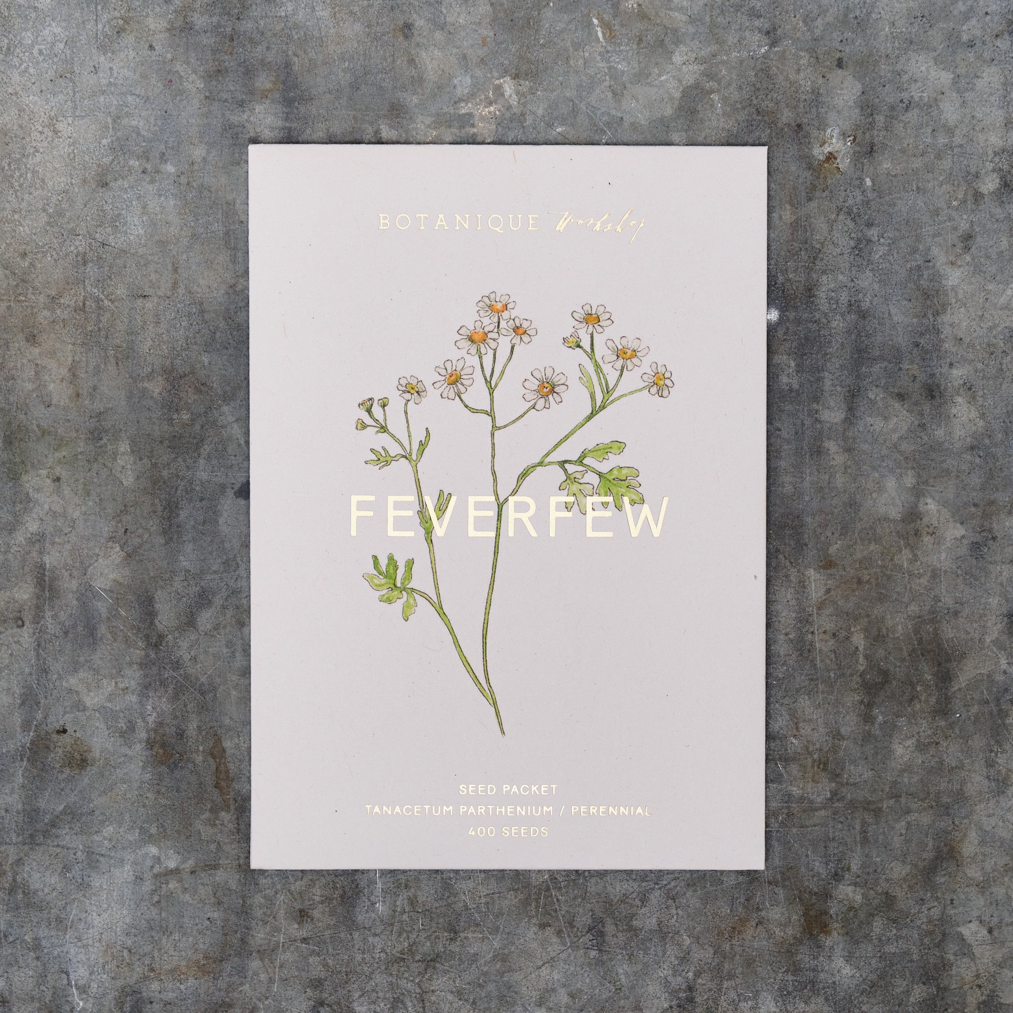 Feverfew Tanacetum Seed Packet