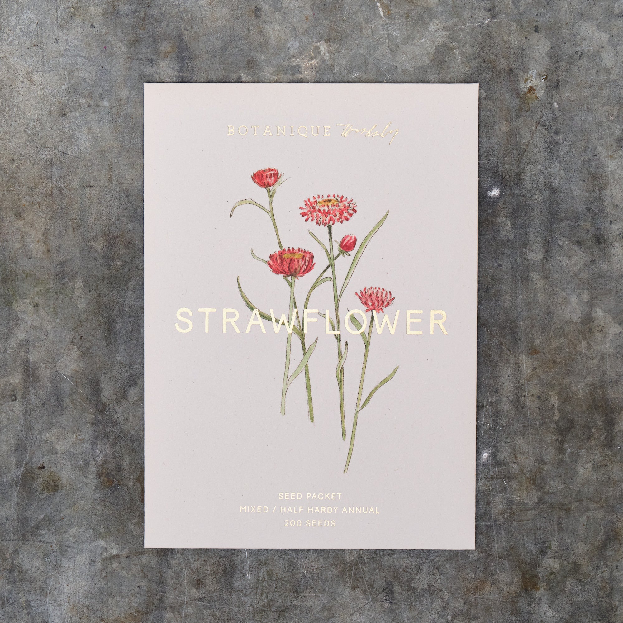 Strawflower Mixed Seed Packet