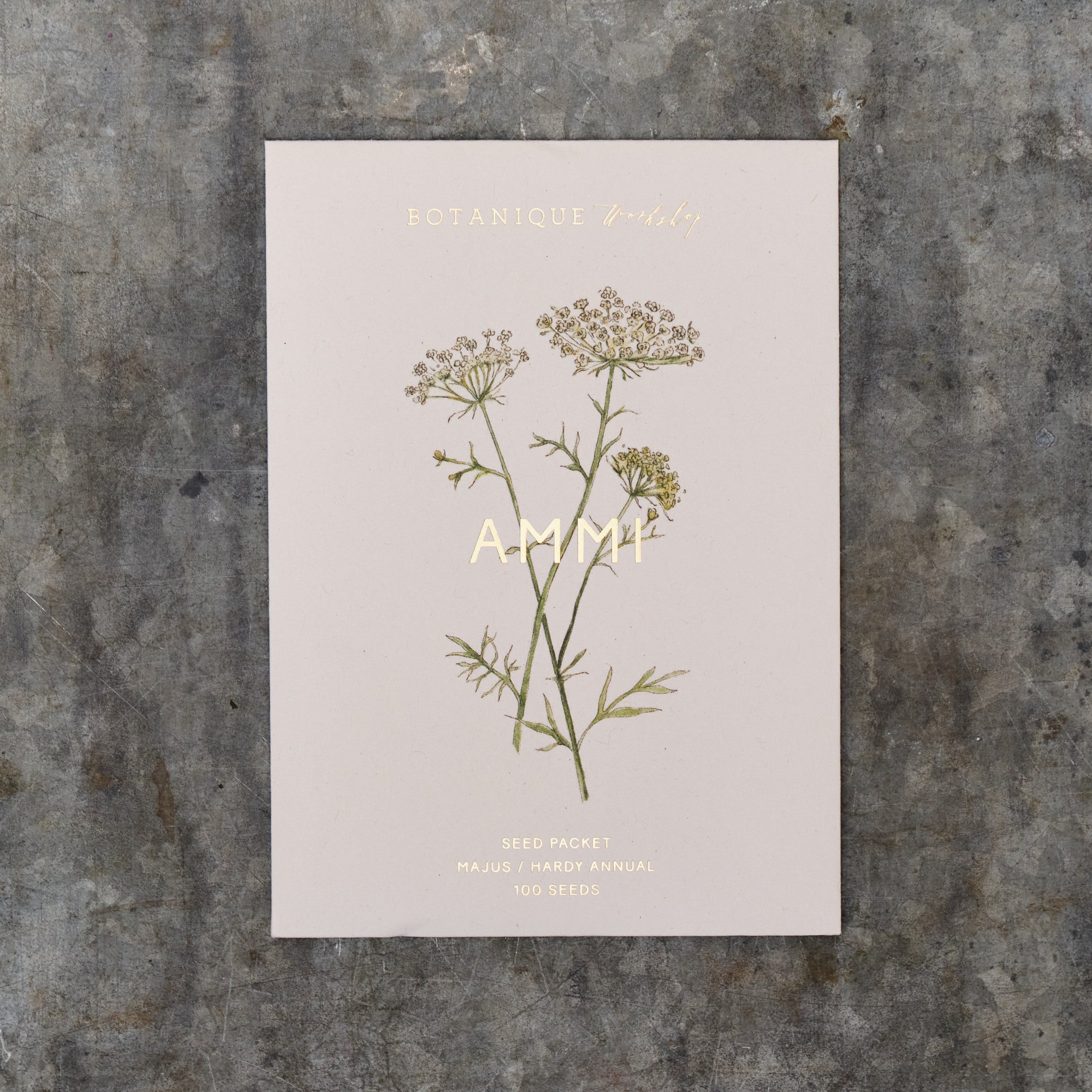 Ammi Majus Seed Packet