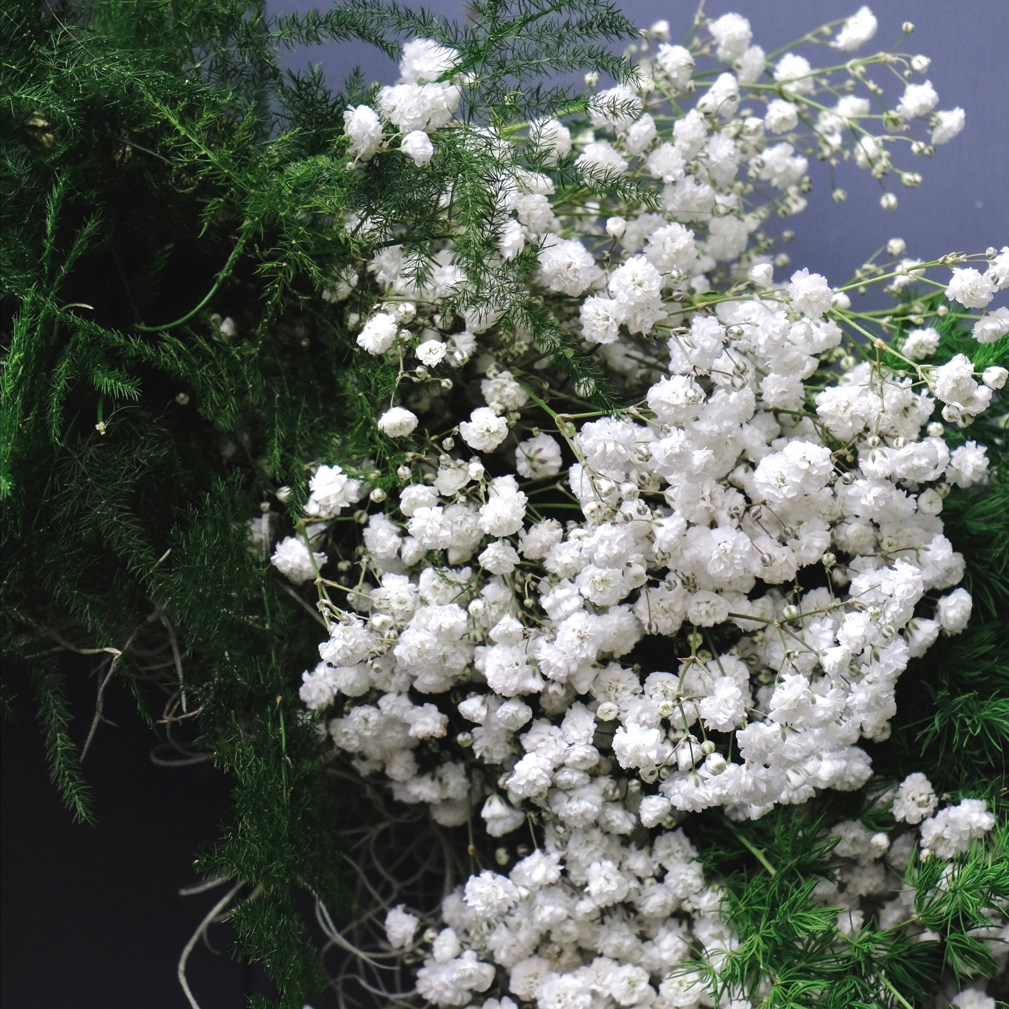 festive christmas wreath with gypsophelia