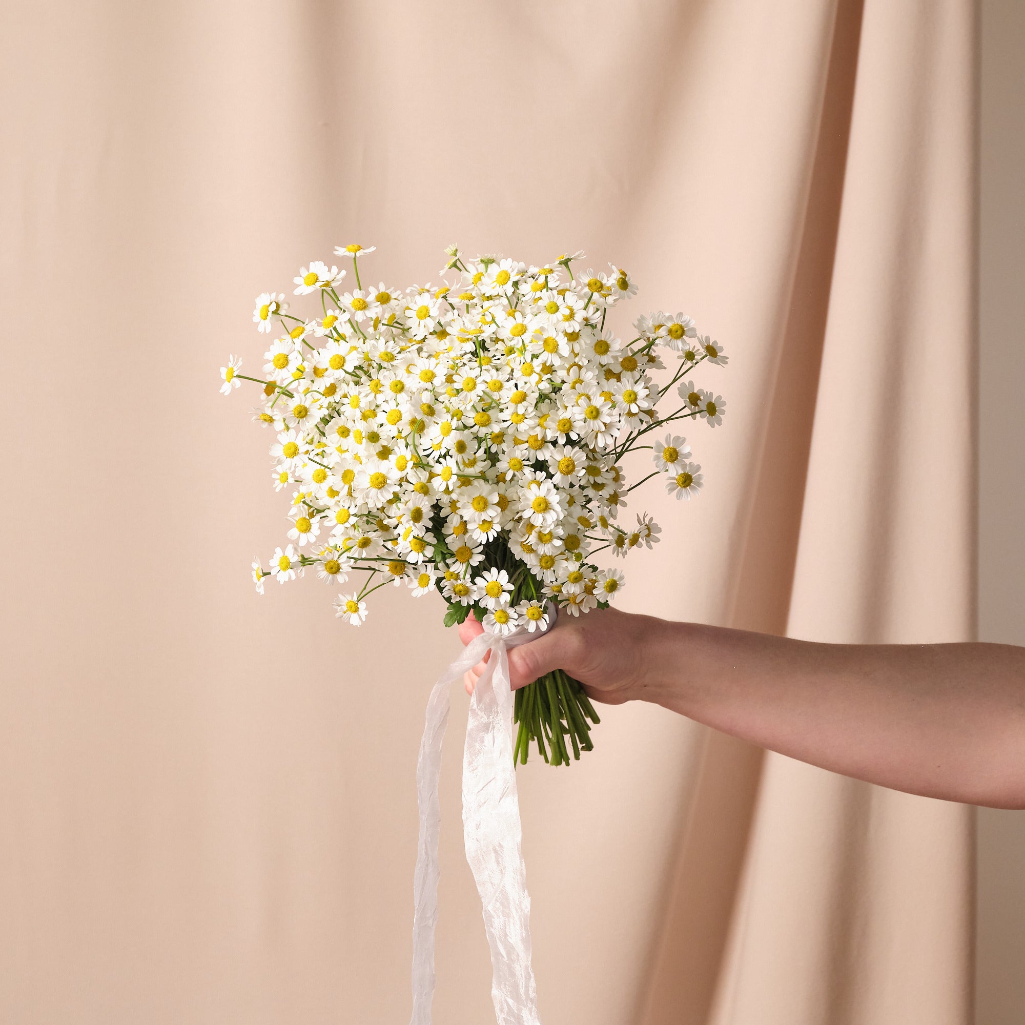 Meadow of Daisies Bridal Bouquet