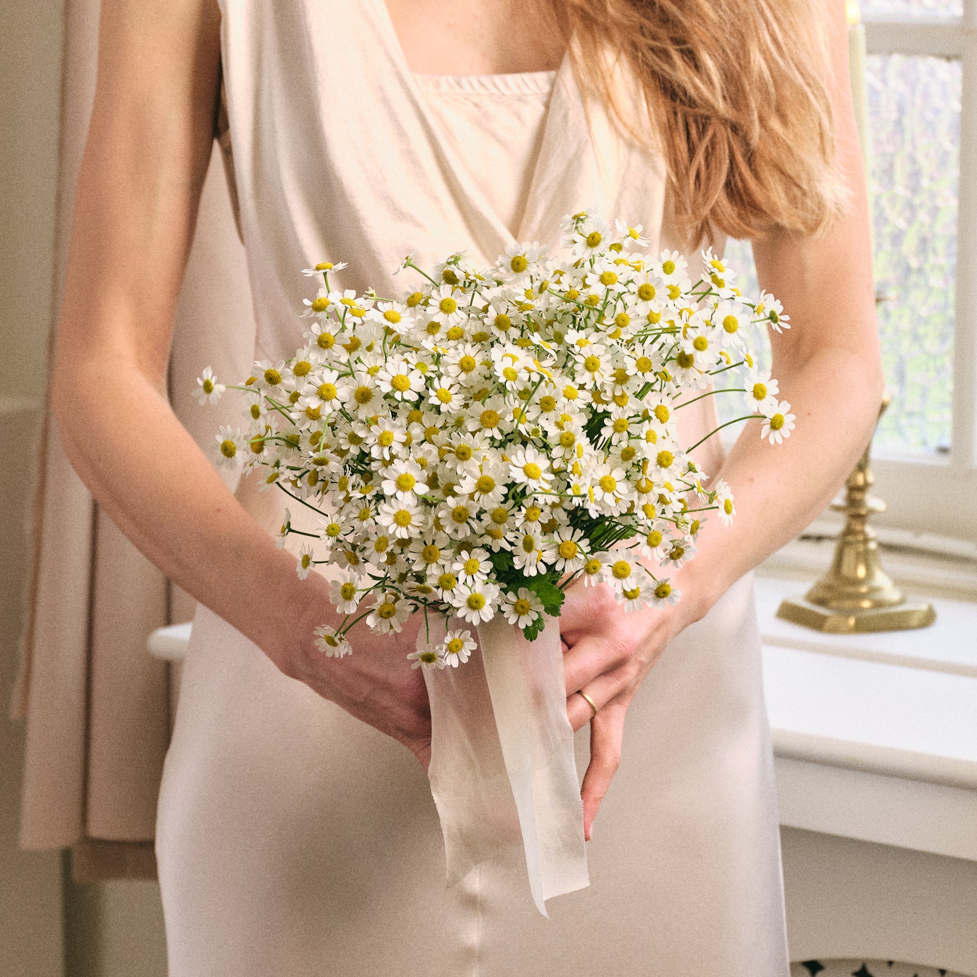 White daisy wedding bouquet | Beachweddingtips.com White daisy wedding bouquet | Beachweddingtips.com