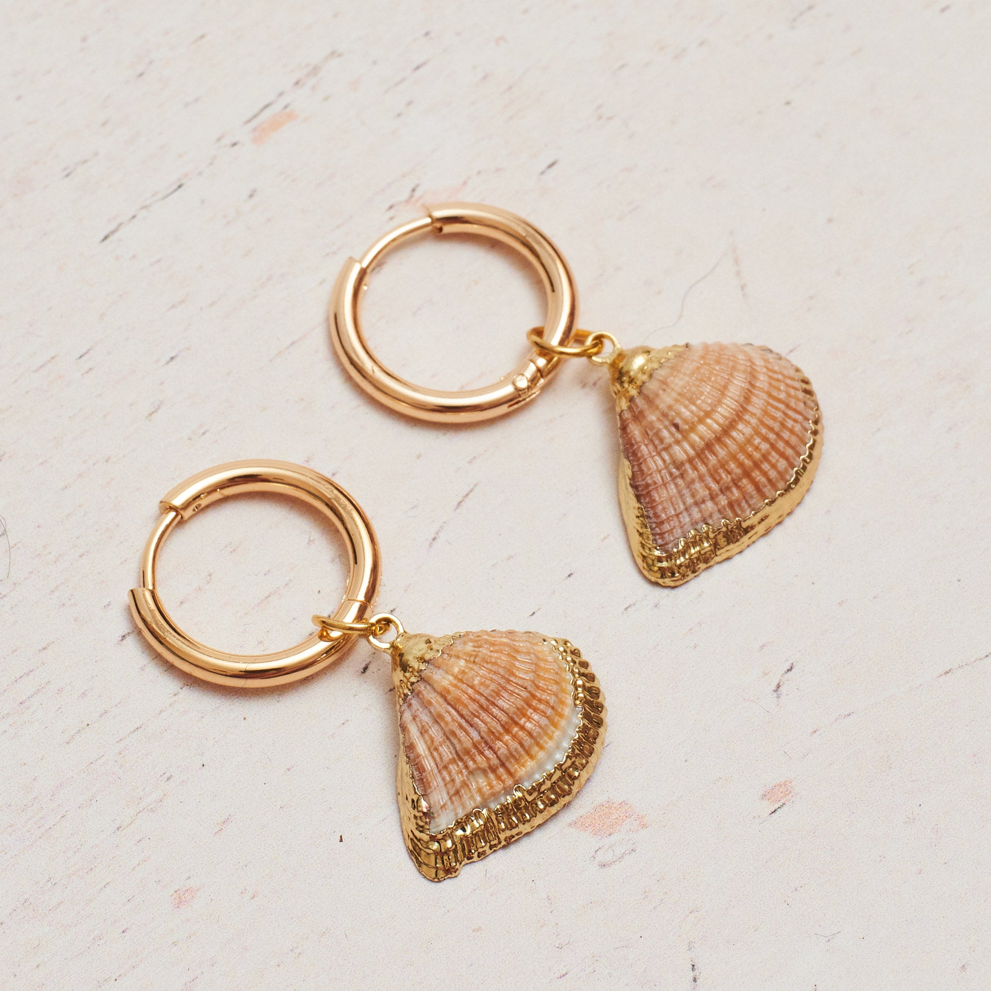 Chunky Huggie Cockle Shell Earring