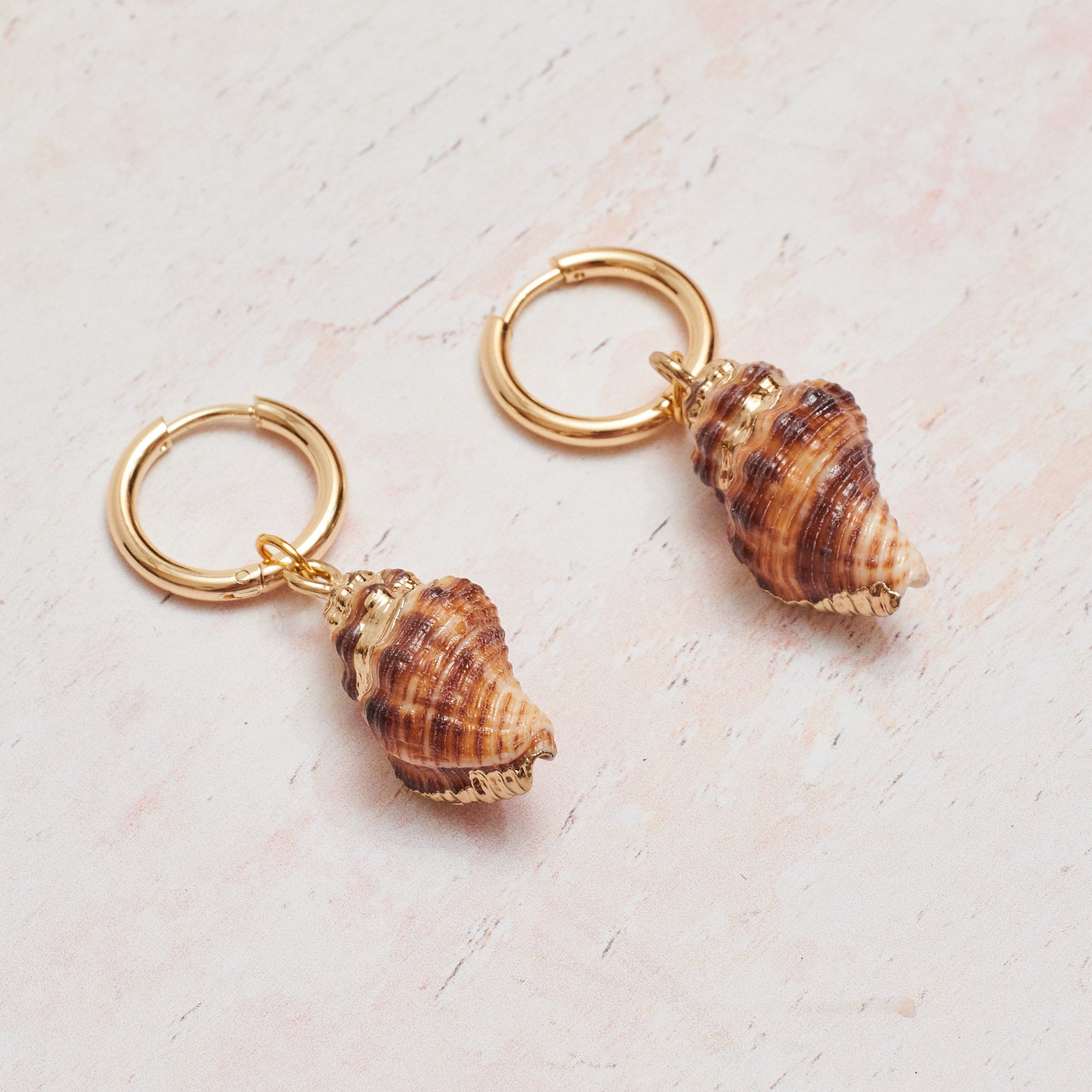 Chunky Huggie Tampa Shell Earring