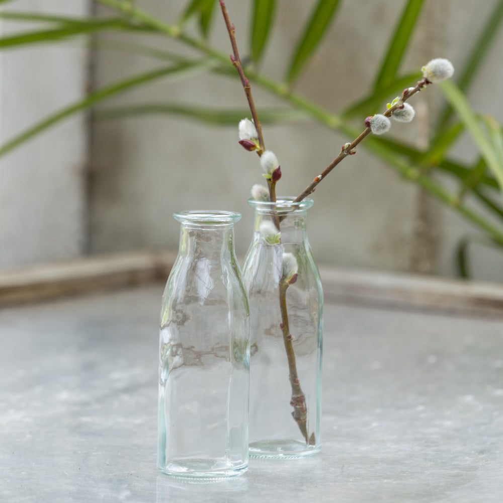 Mini Glass Milk Bottle Vases