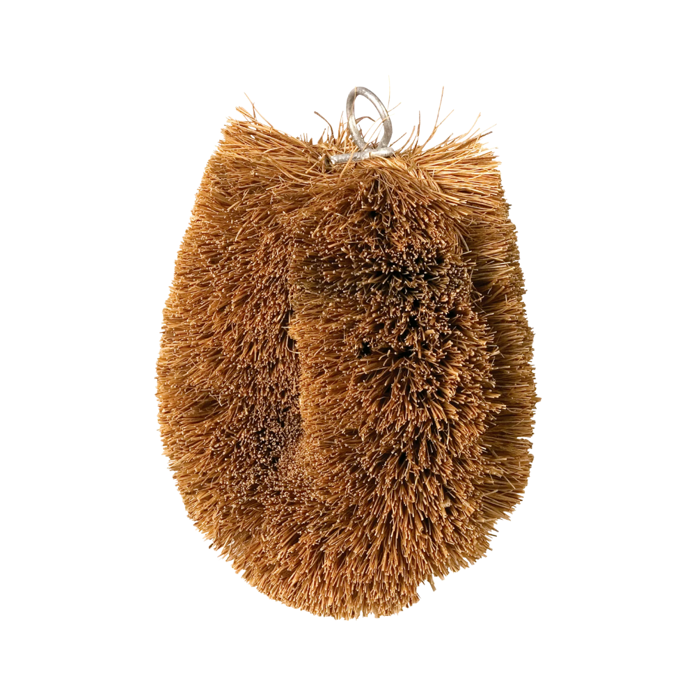 Coconut Fibre Brush with Loop