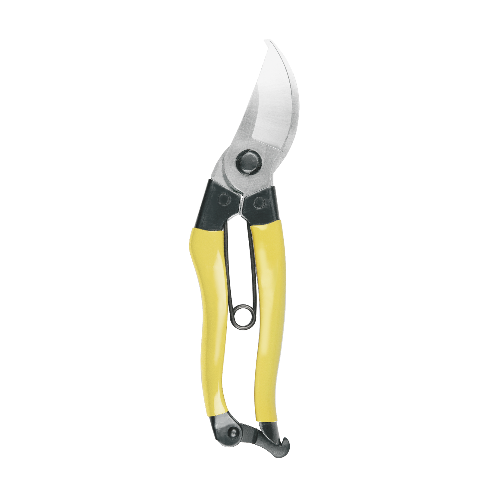 Mainichi Secateurs