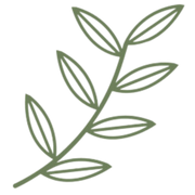 Botanique Workshop logo