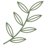 logo of Botanique Workshop | London Florist, Plants & Artisan Gift Store