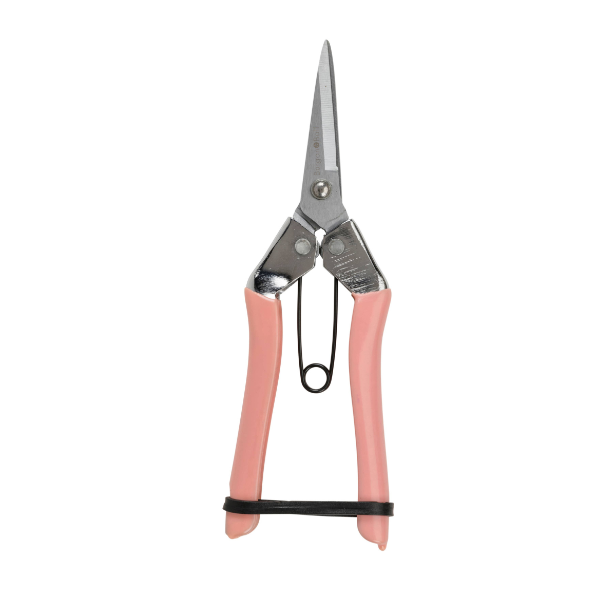 Blush Fruit and Flower Snips