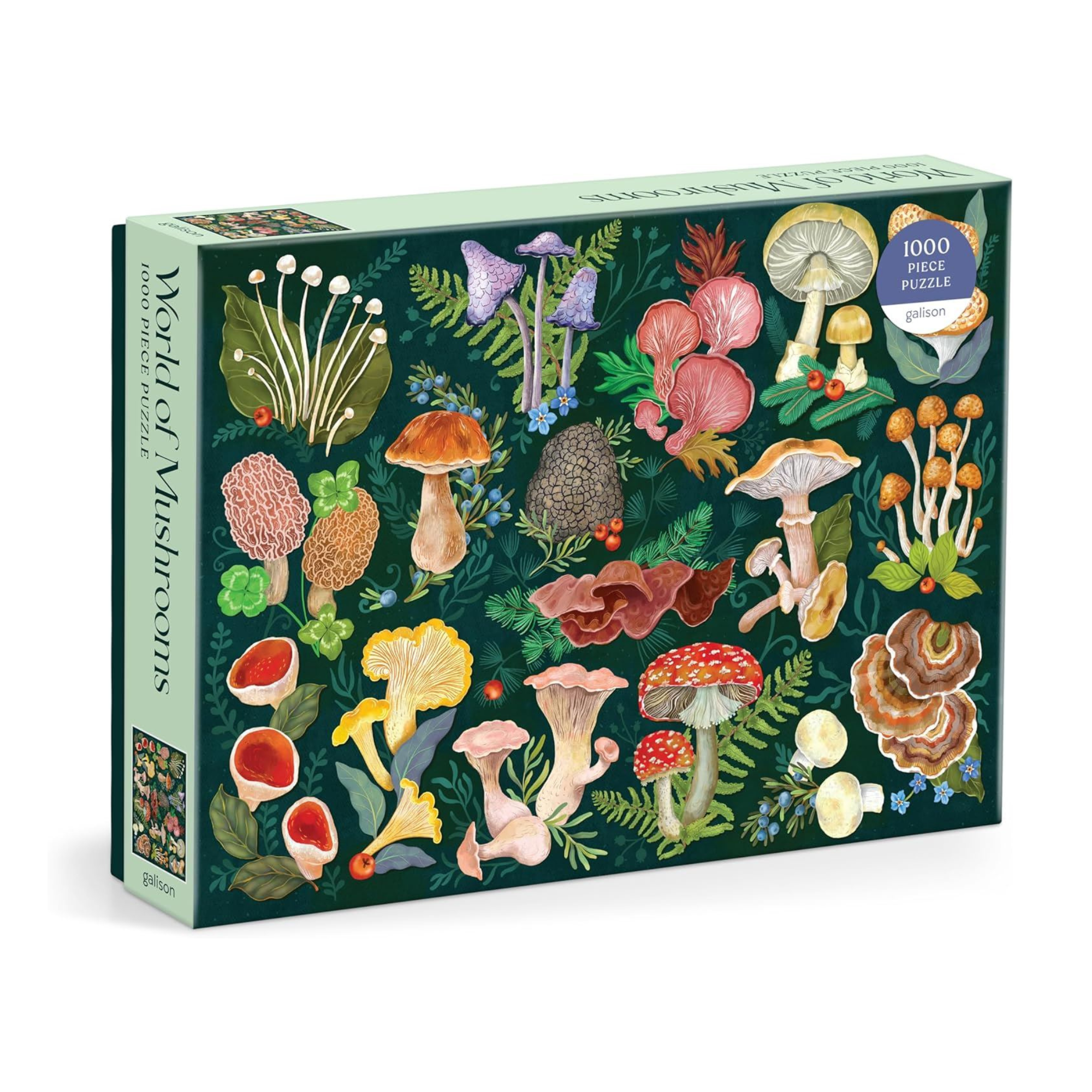 1000 Piece Jigsaw Puzzle | World of Mushrooms