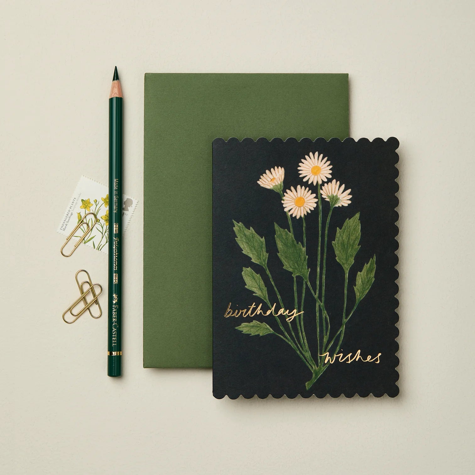 'Birthday Wishes' Daisies Greetings Card