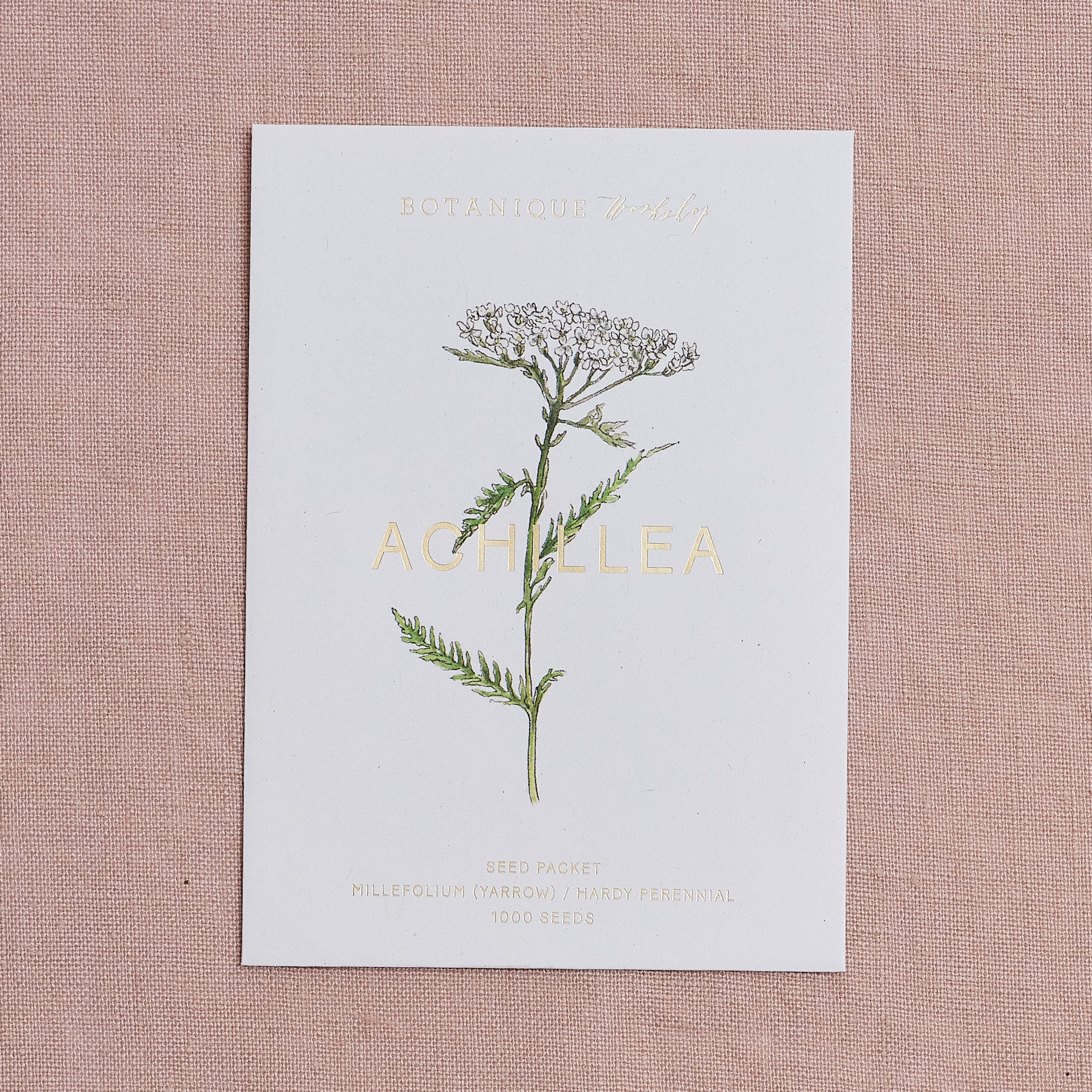 Achillea Millefolium (Yarrow) Seed Packet