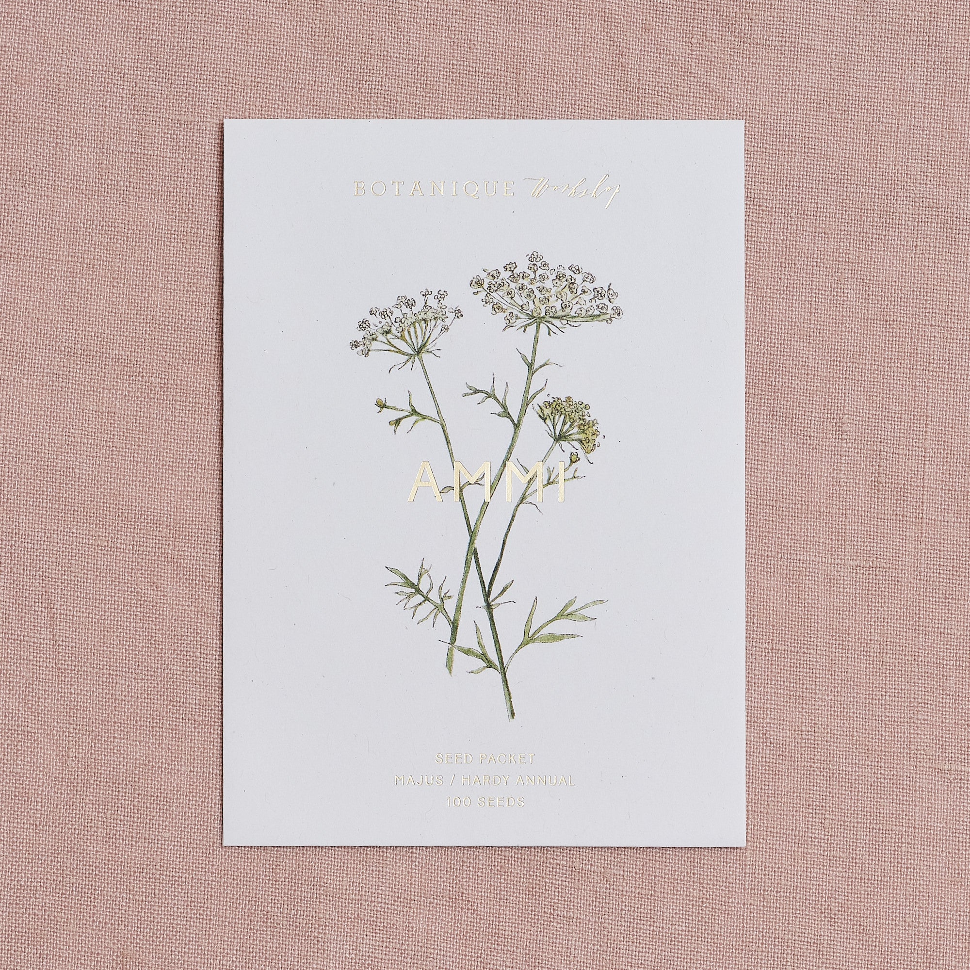 Ammi Majus Seed Packet